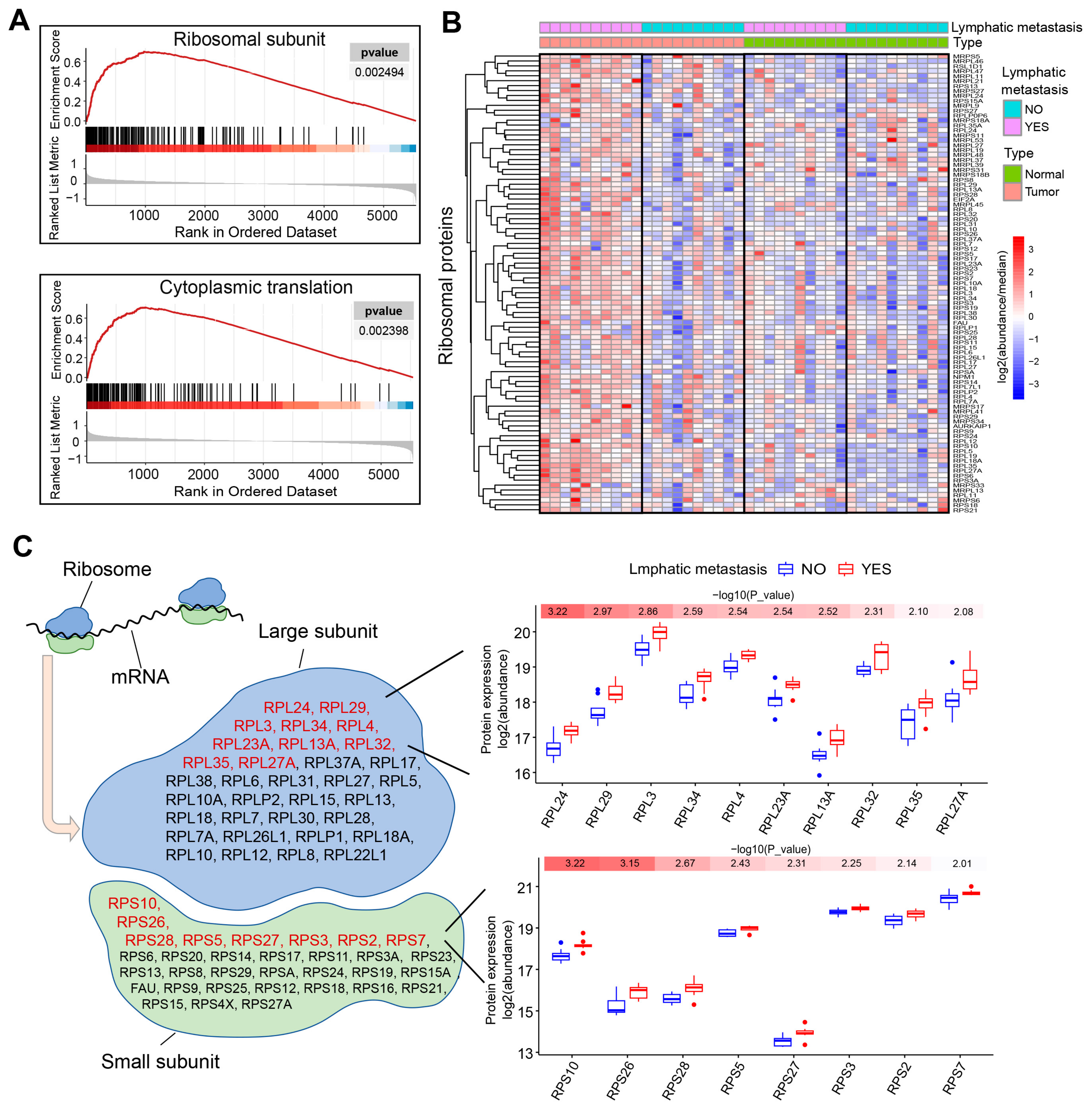 Toxics 12 00363 g003
