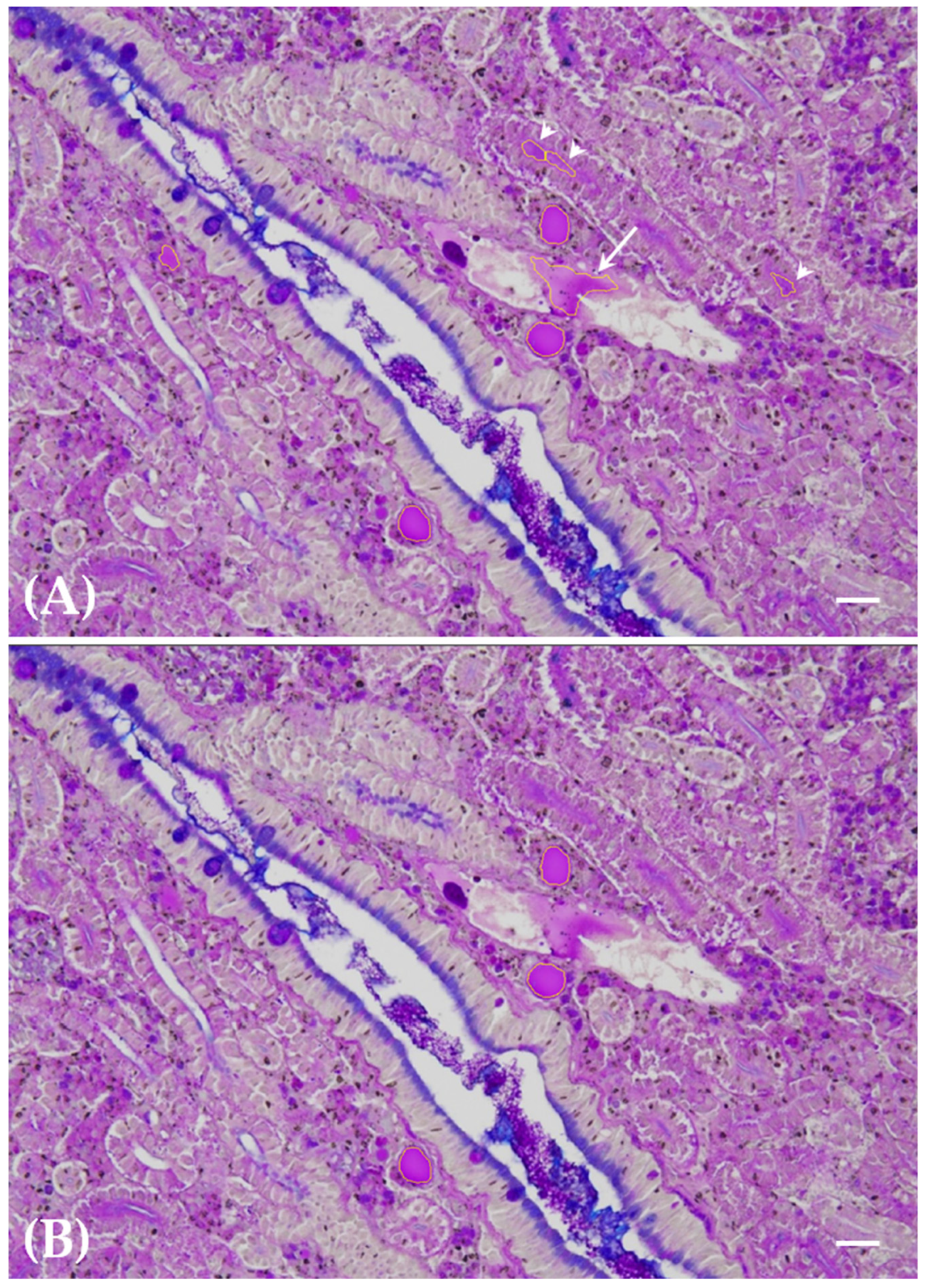 Toxics 12 00369 g002