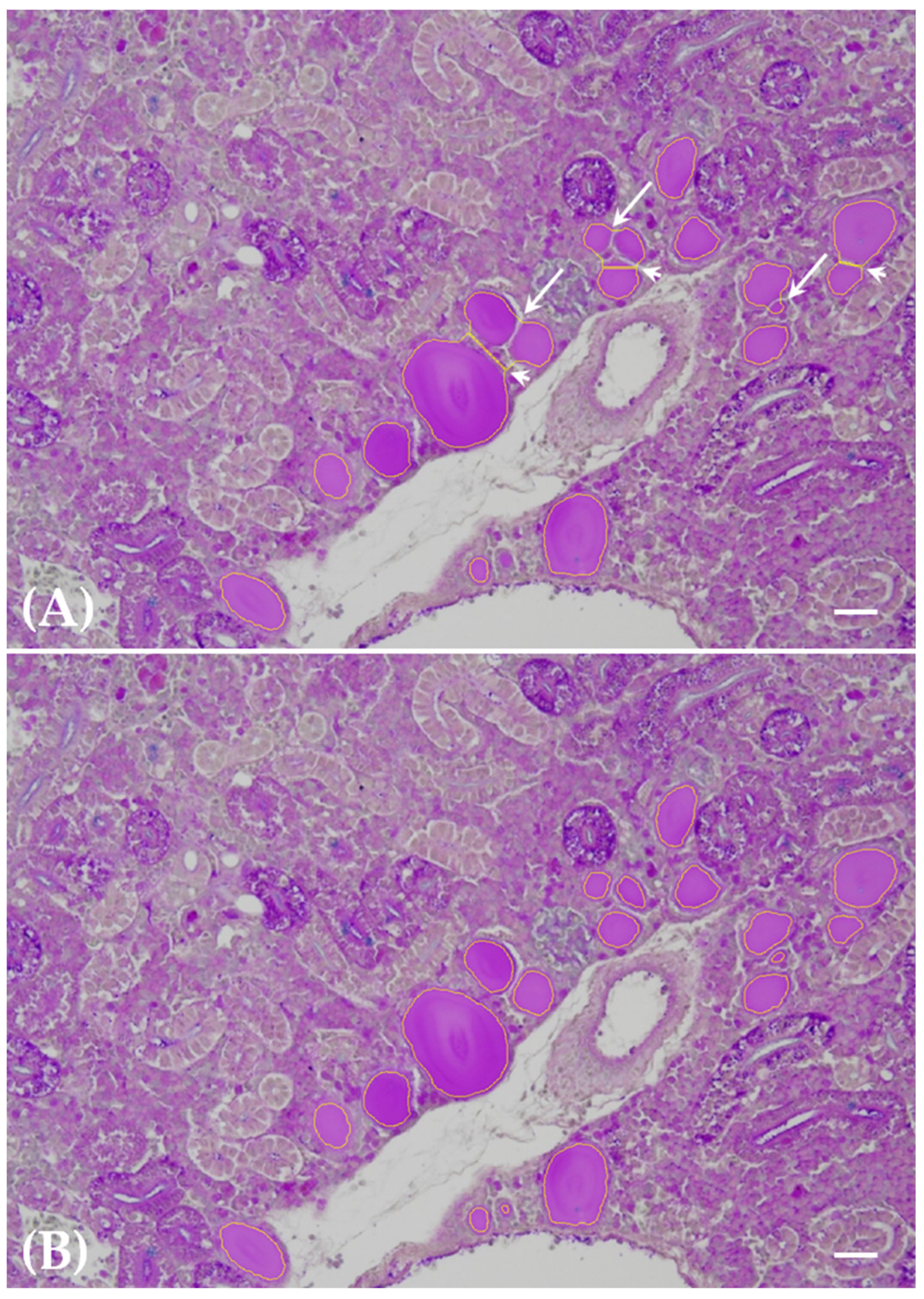 Toxics 12 00369 g003