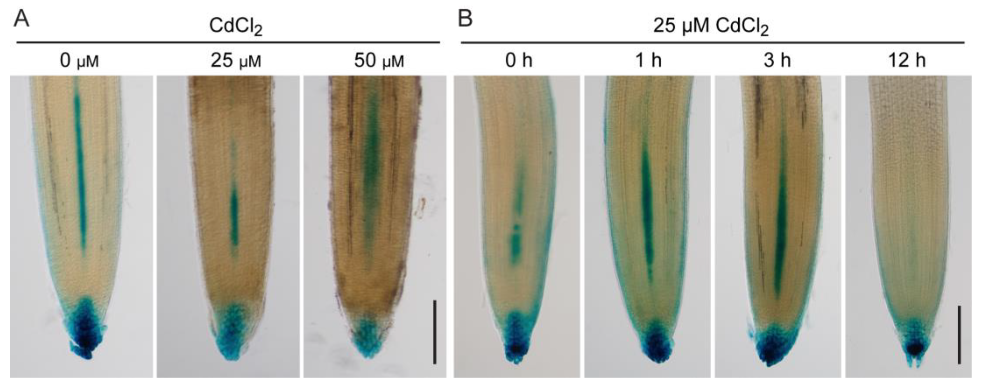 Toxics 12 00374 g002