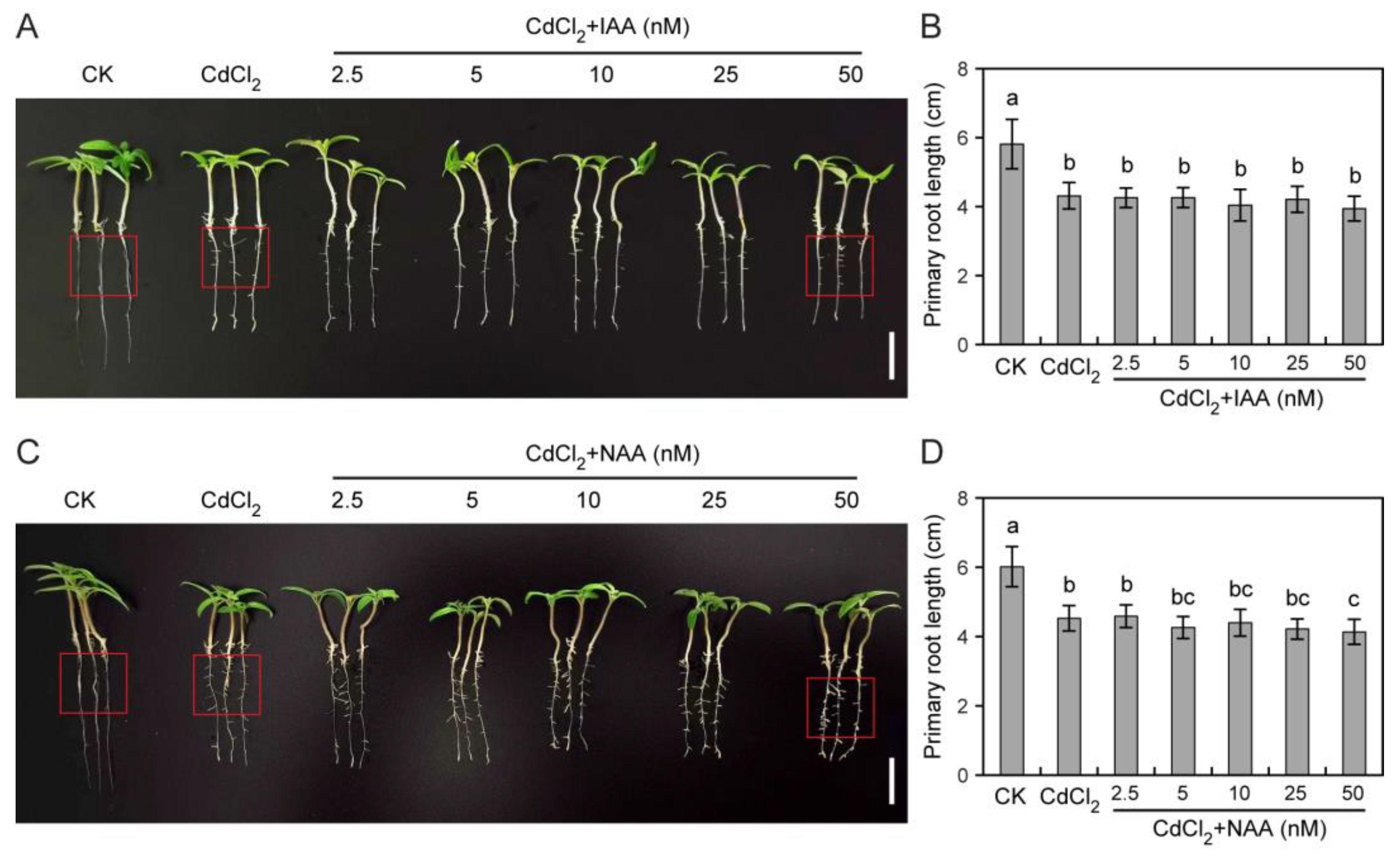 Toxics 12 00374 g003
