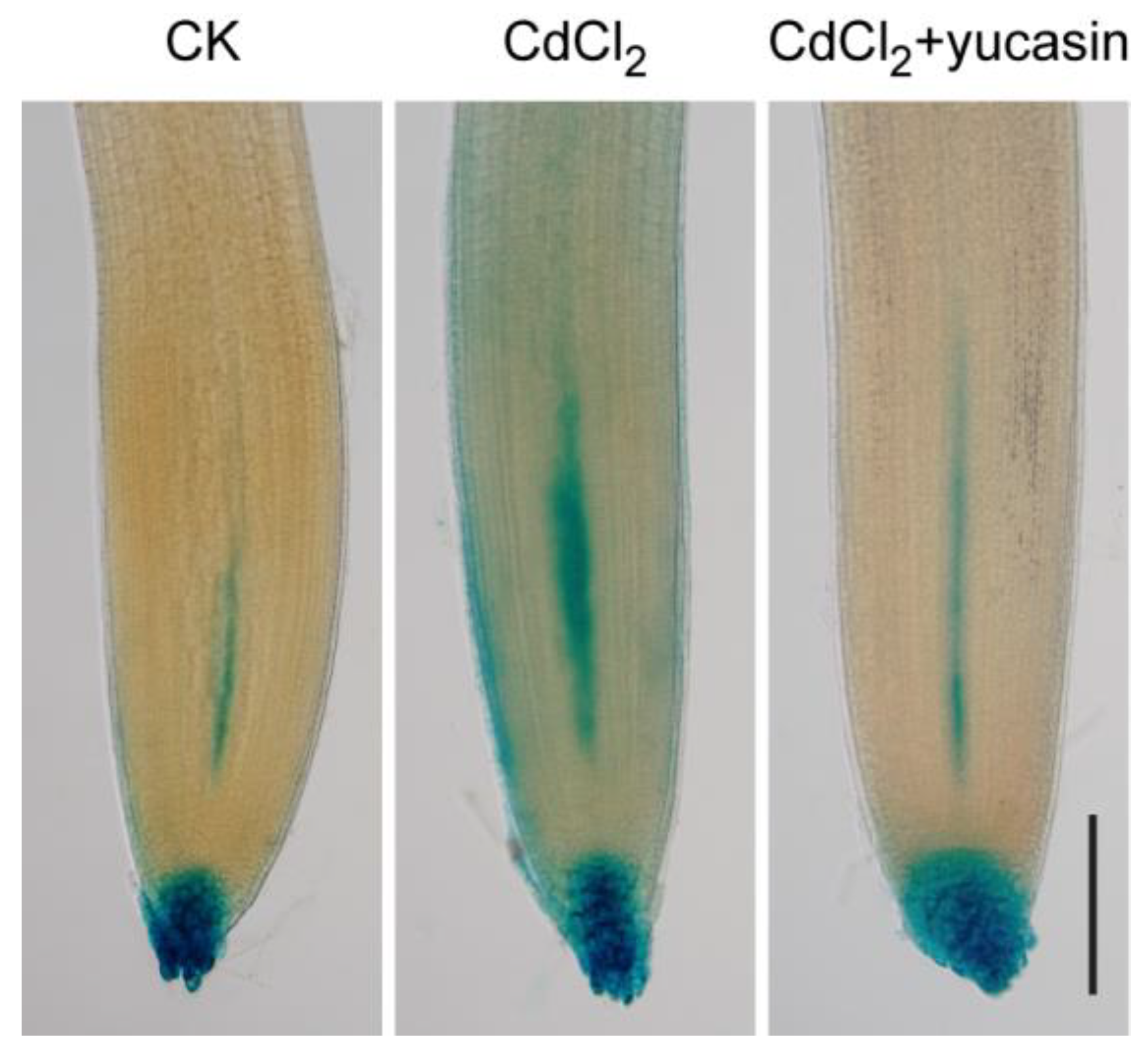 Toxics 12 00374 g005