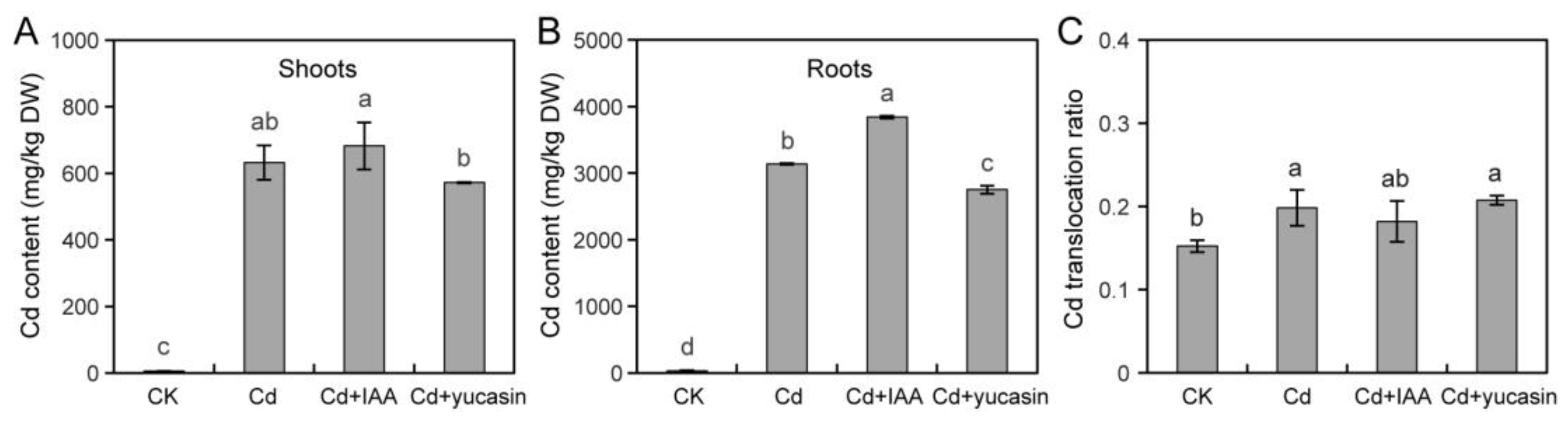 Toxics 12 00374 g006