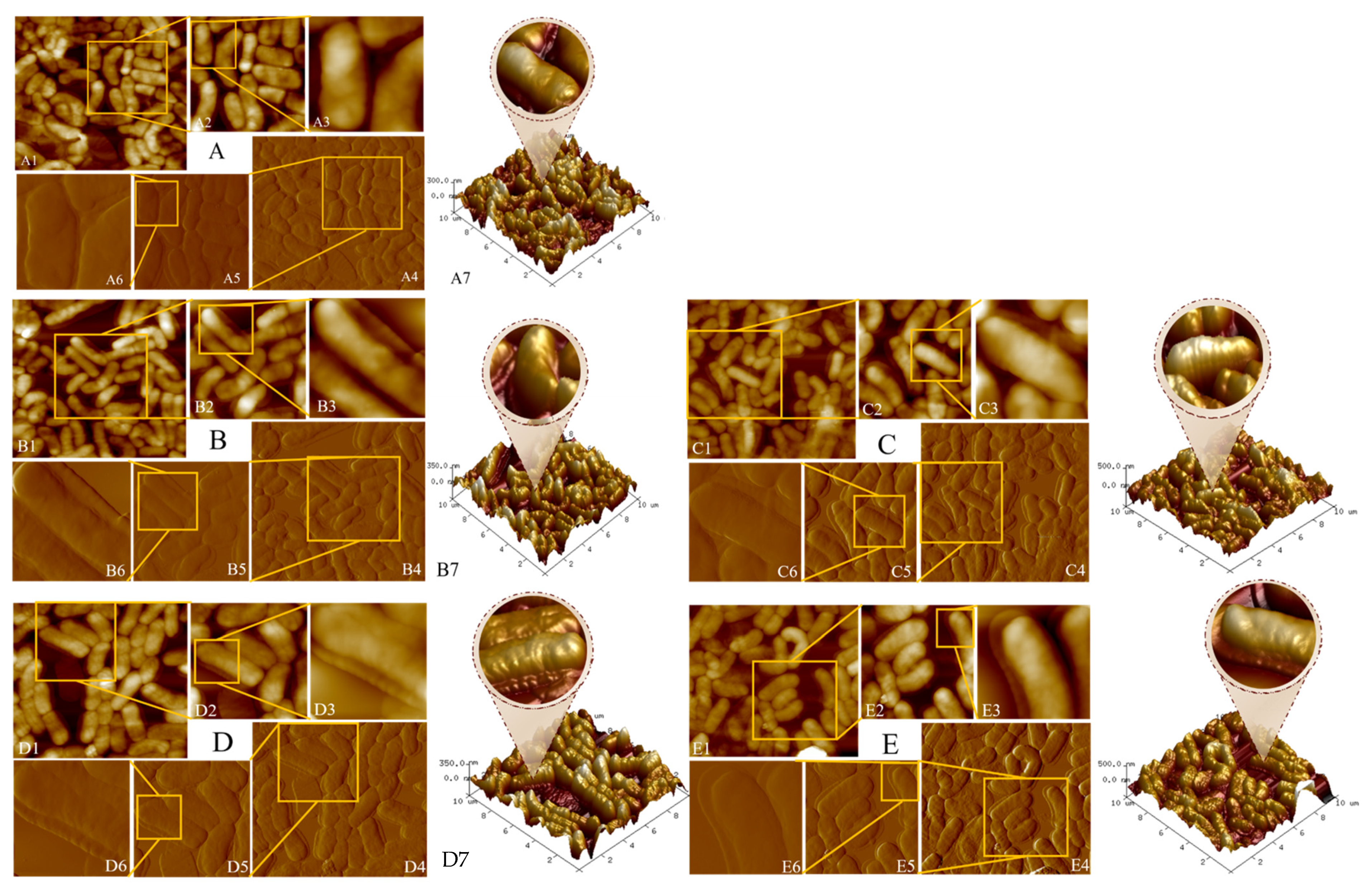Toxics 12 00380 g002