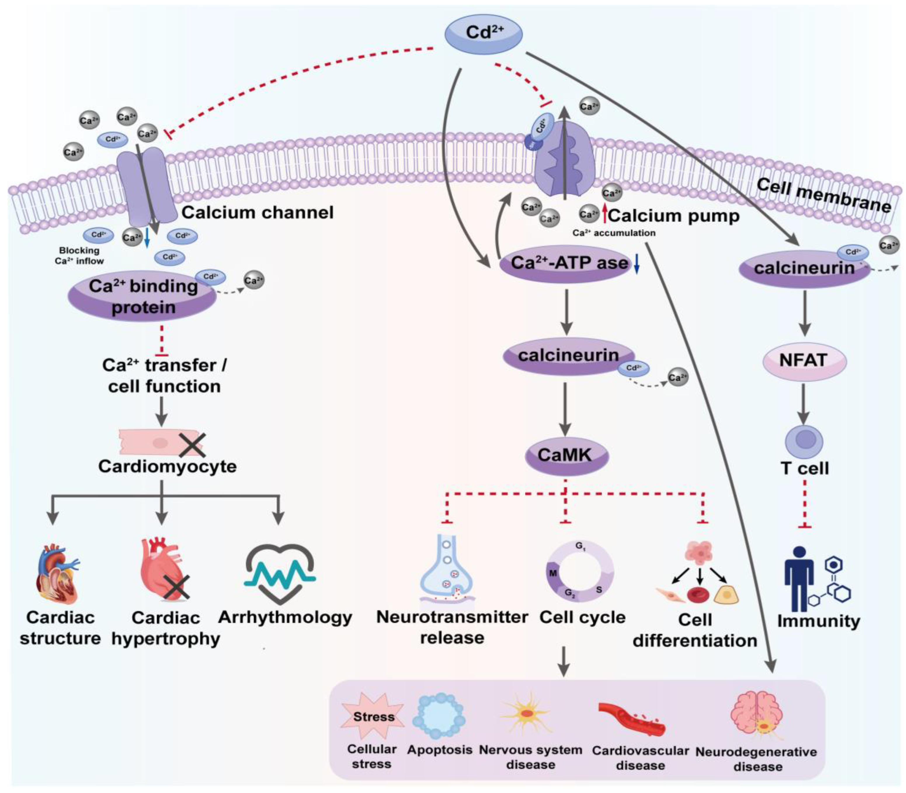 Toxics 12 00388 g003