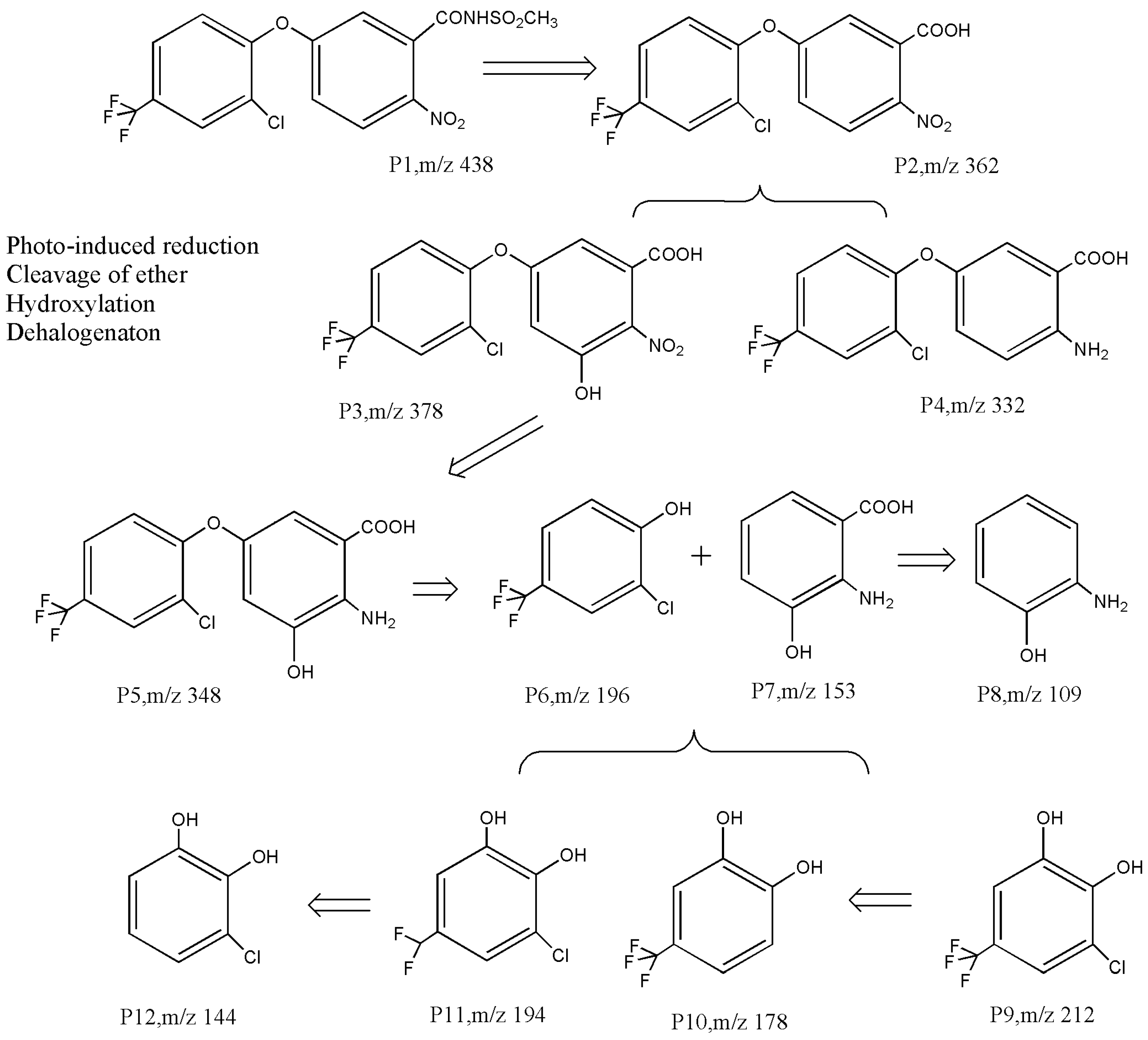 Toxics 12 00397 g004