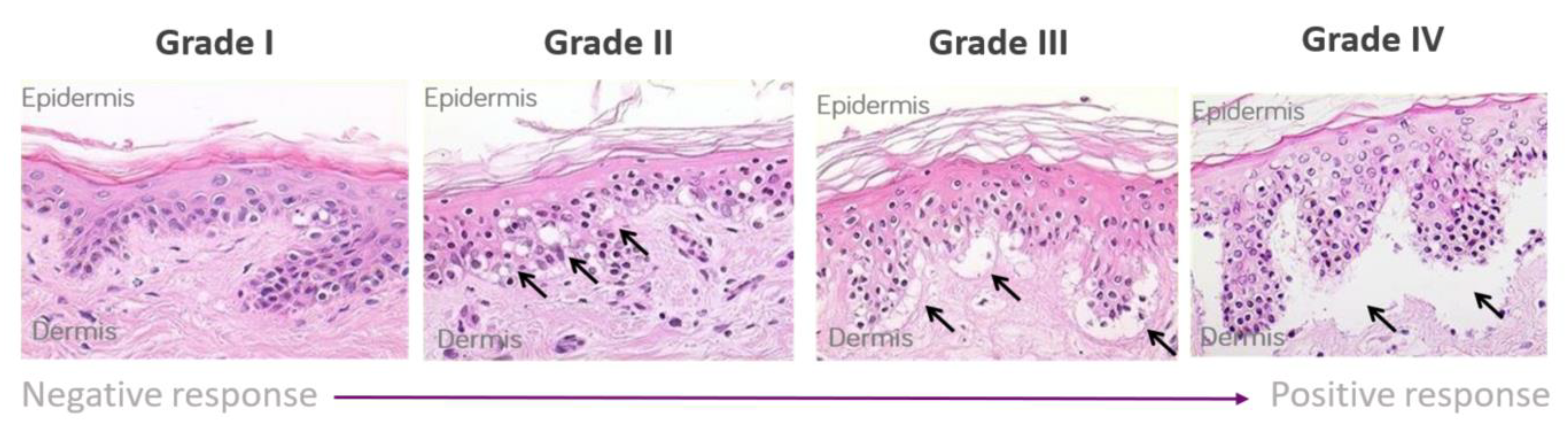 Toxics 12 00401 g001