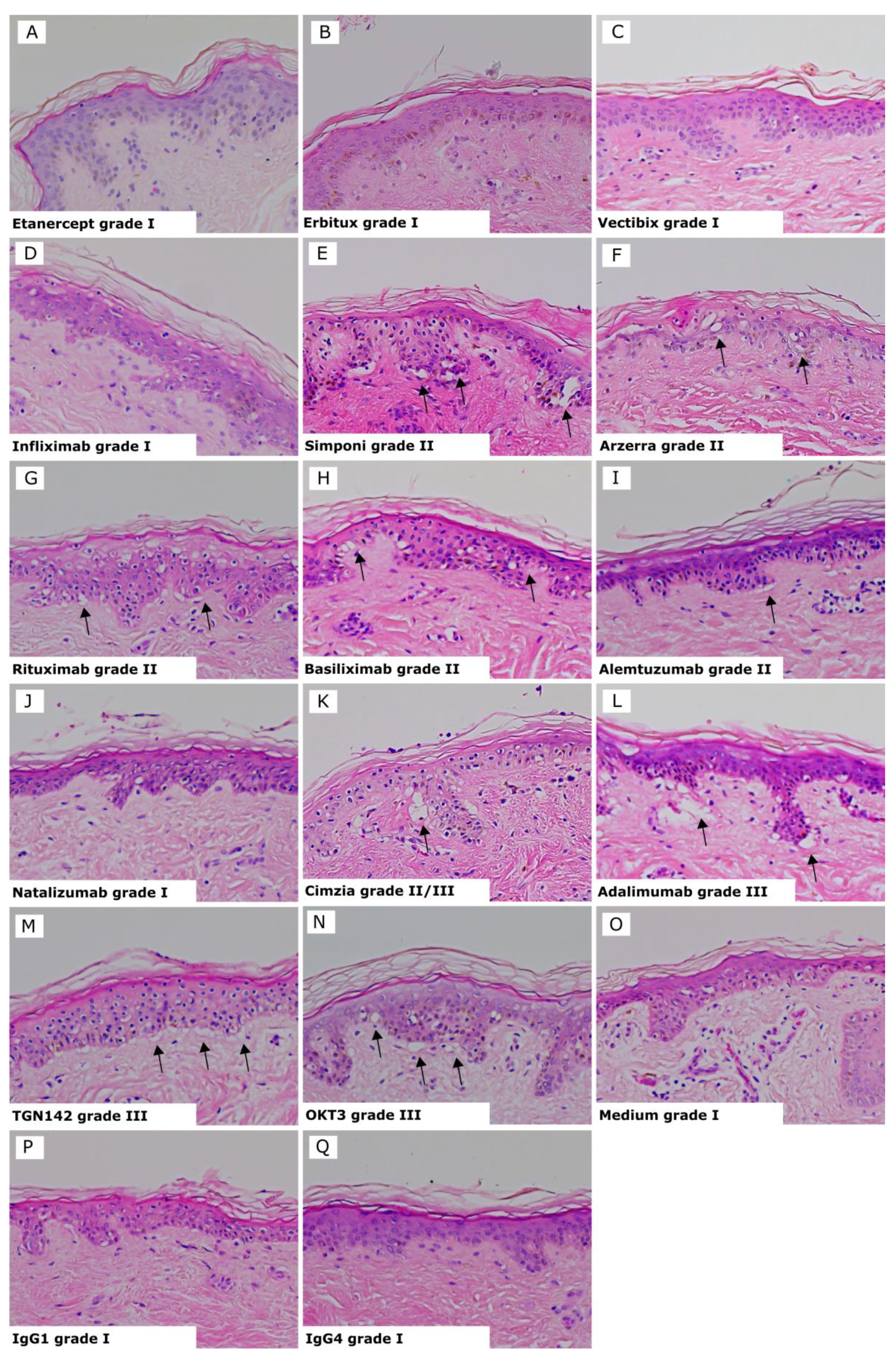 Toxics 12 00401 g002