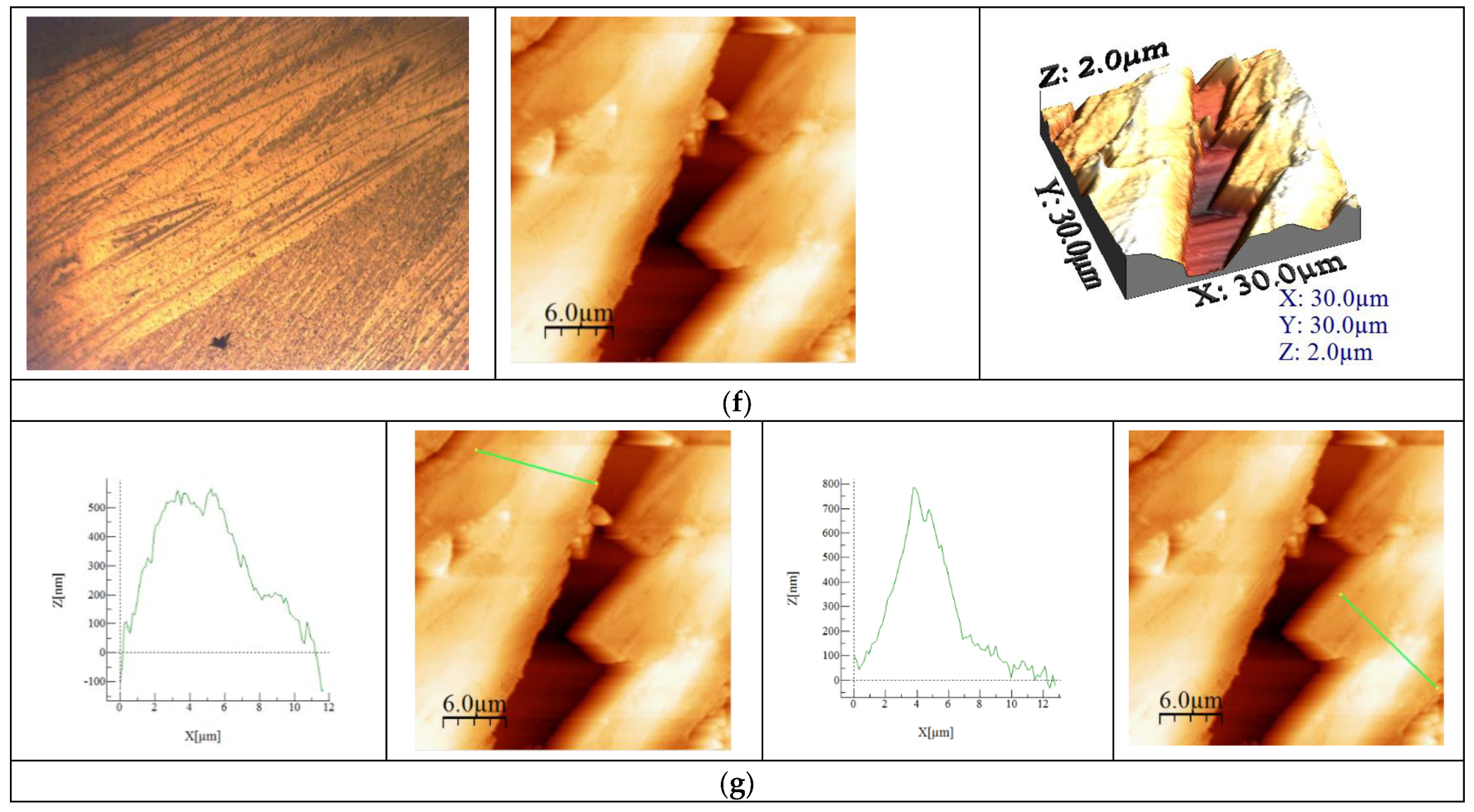 Toxics 12 00405 g005b