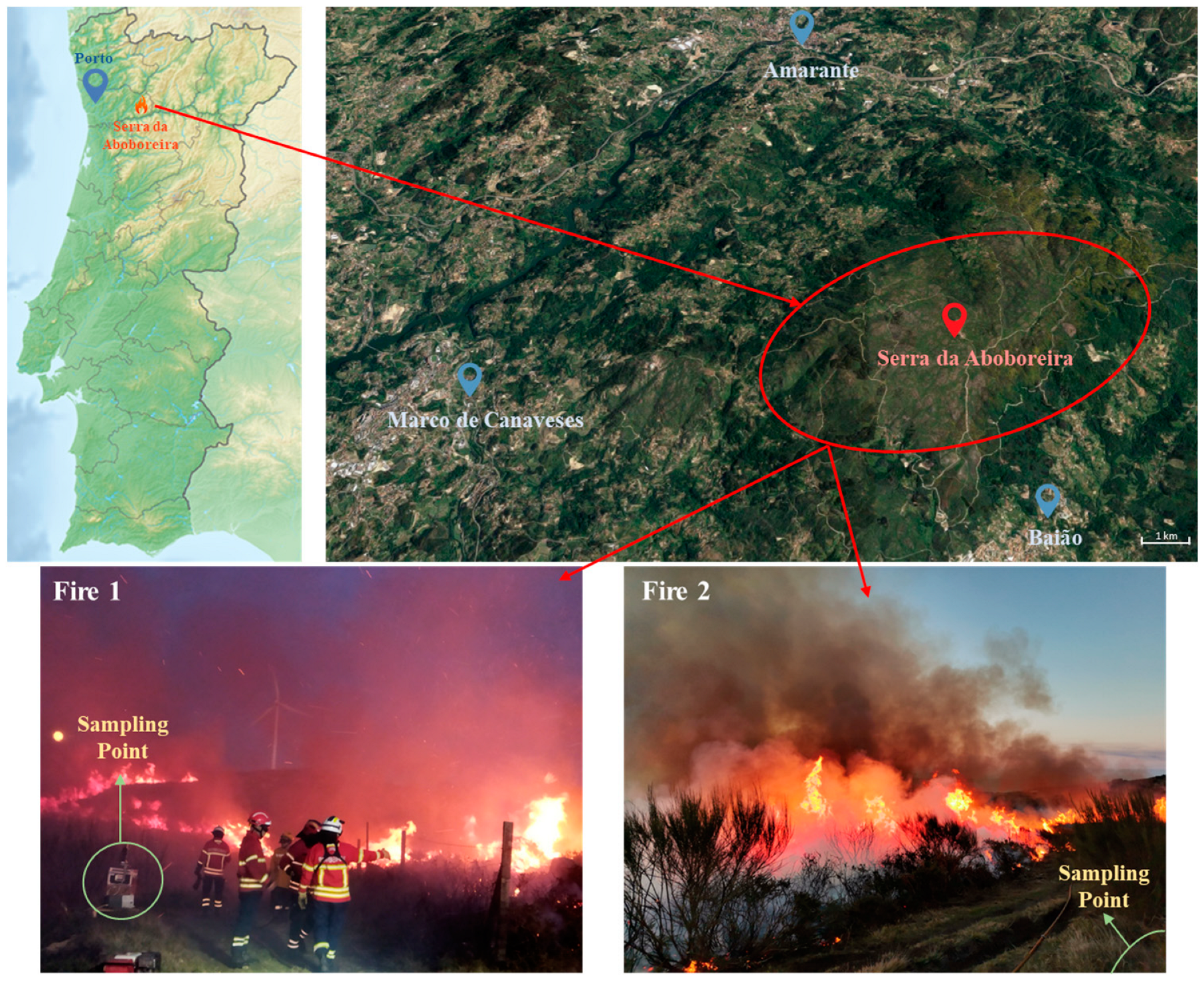 Toxics 12 00422 g001