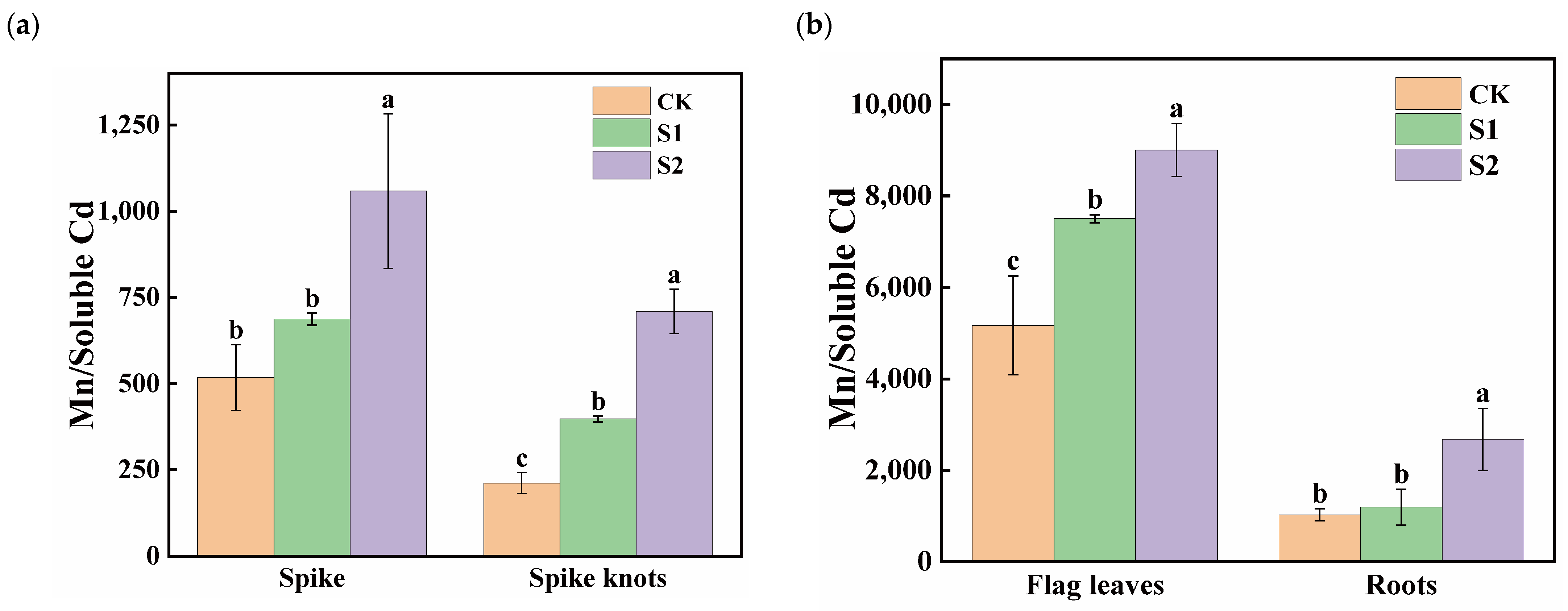 Toxics 12 00431 g005