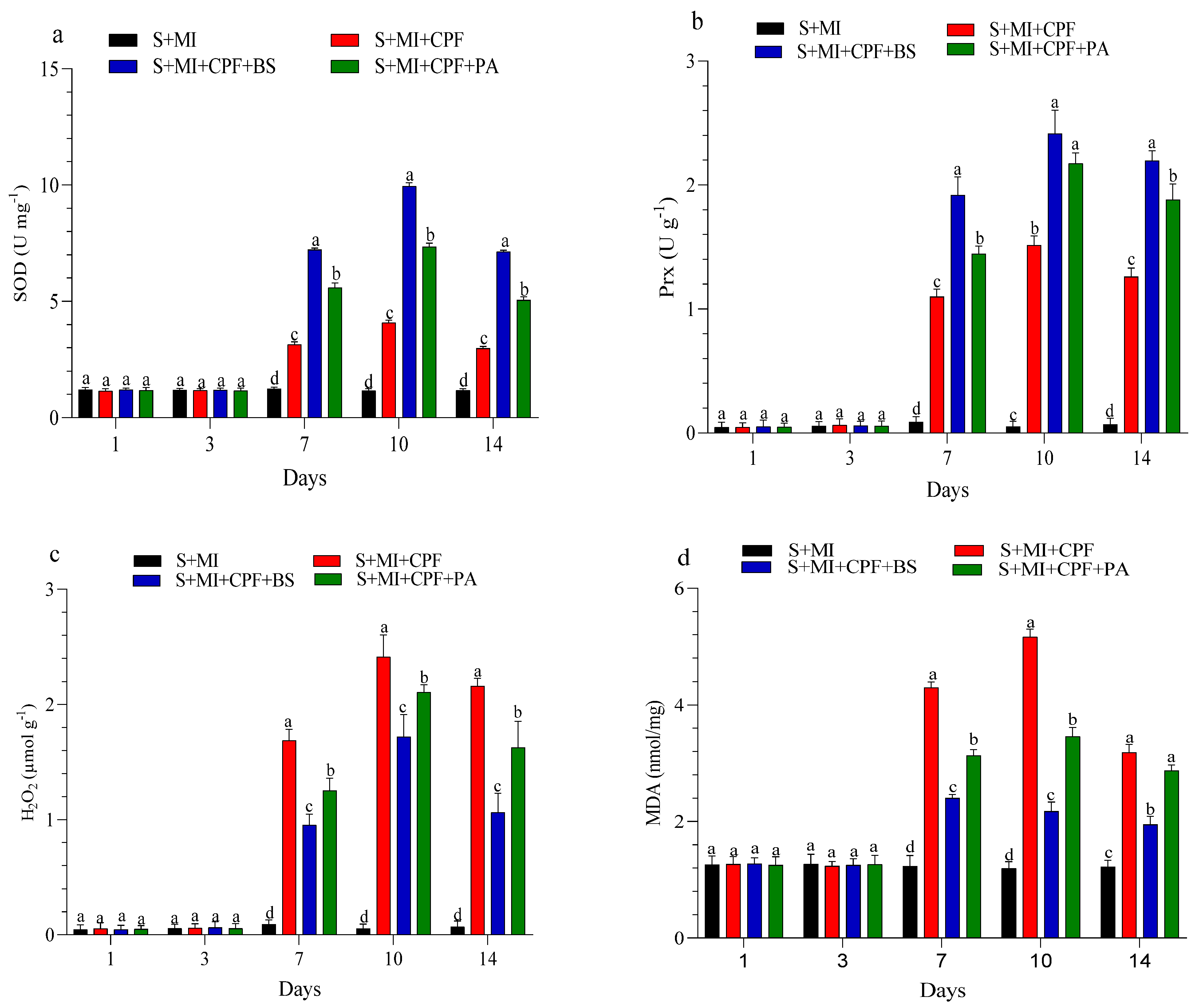 Toxics 12 00435 g005