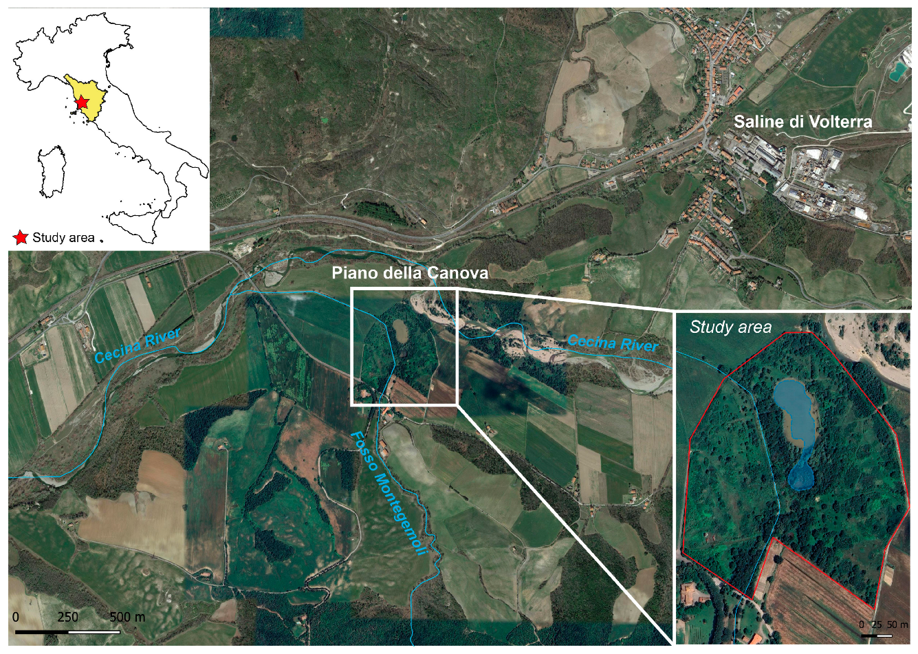 Toxics 12 00436 g001