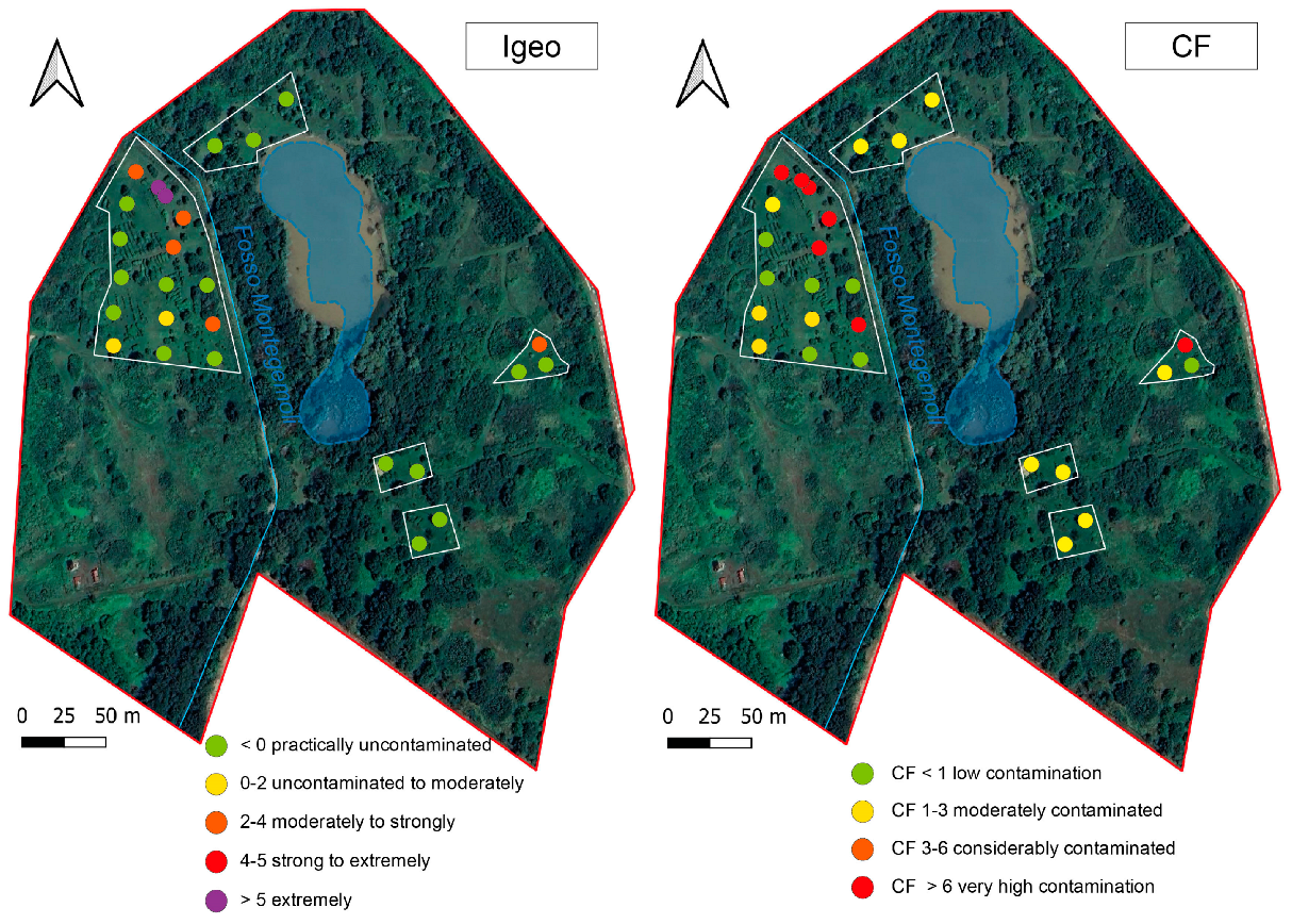 Toxics 12 00436 g004