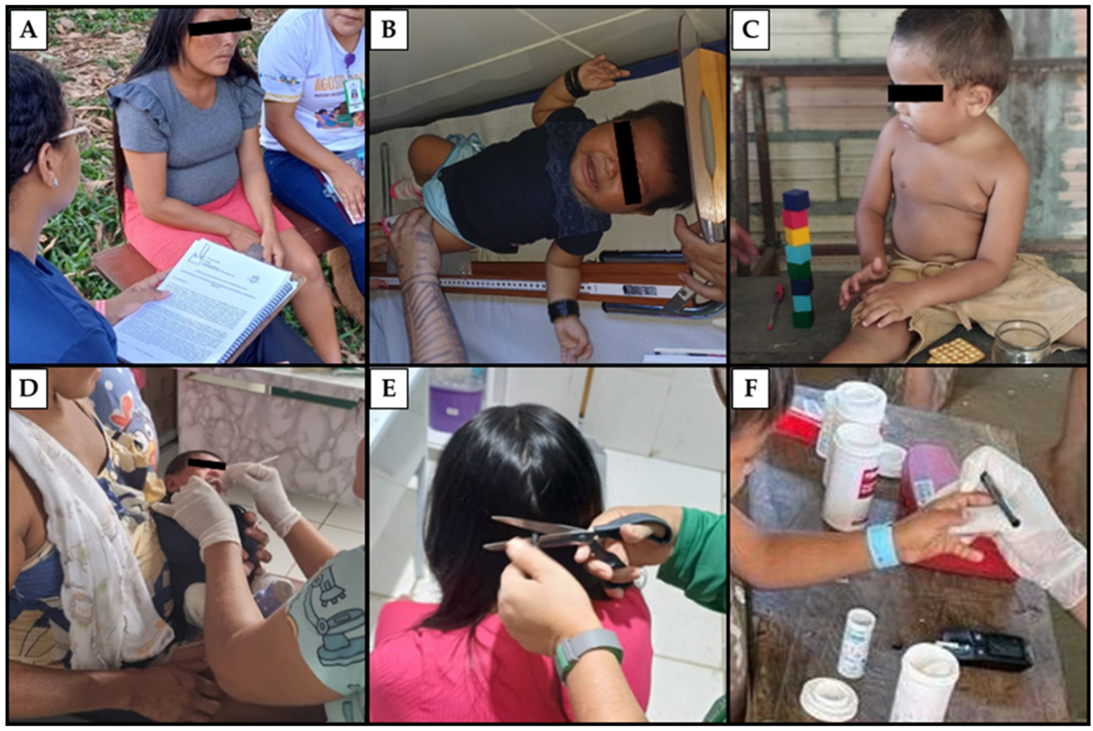 Toxics 12 00441 g002