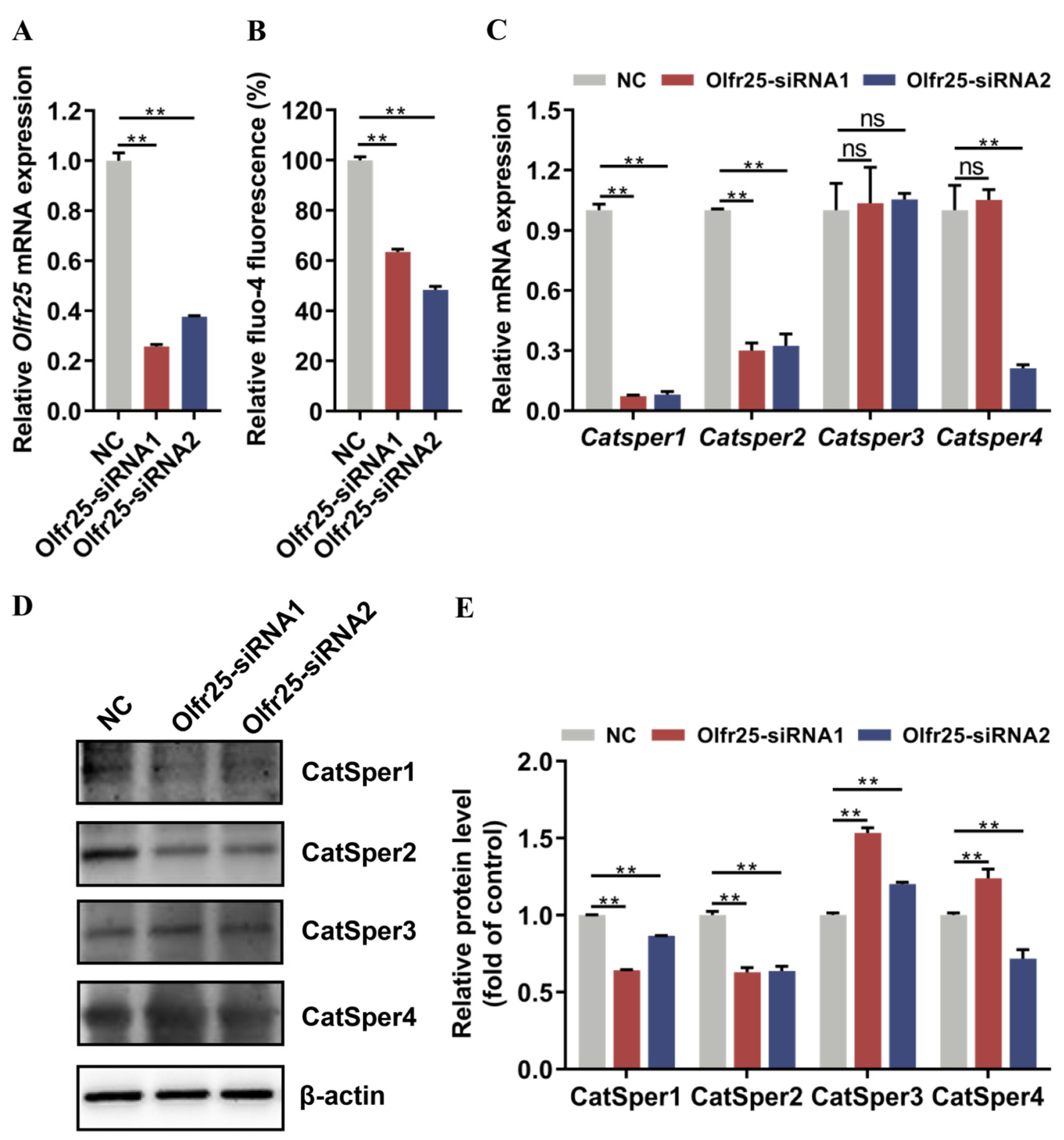 Toxics 12 00442 g004