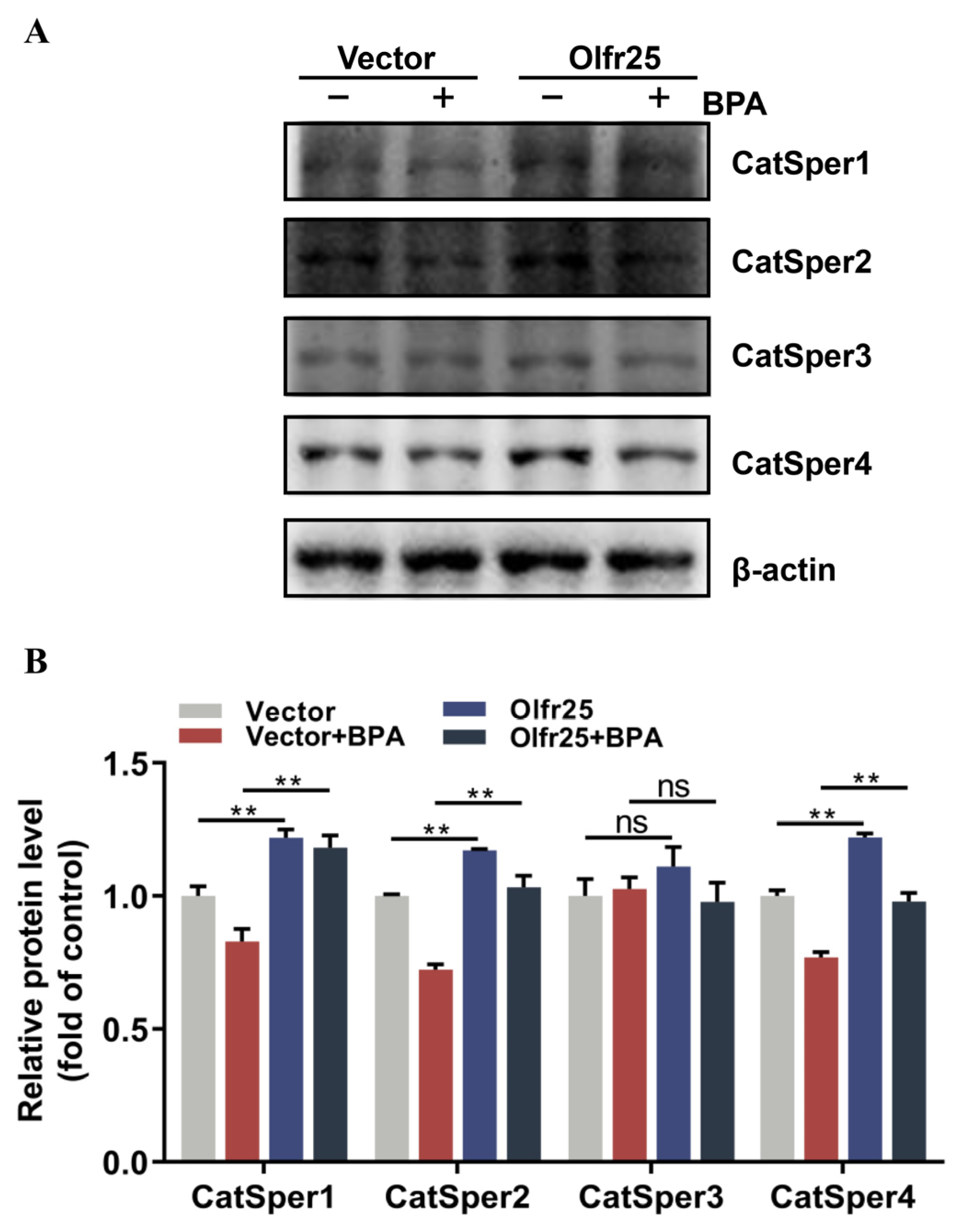 Toxics 12 00442 g006