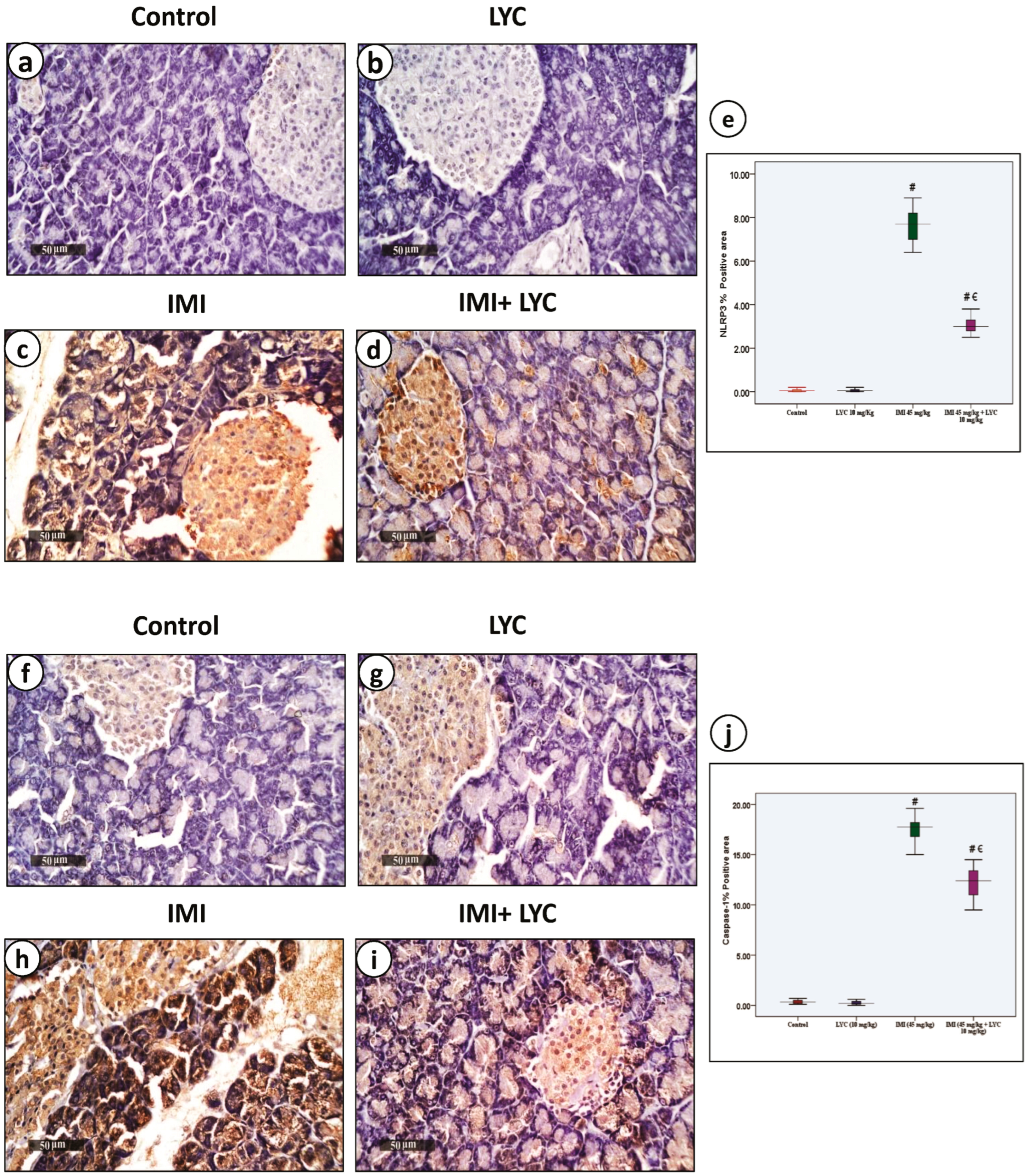 Toxics 12 00445 g005 Toxics 12 00445 g005