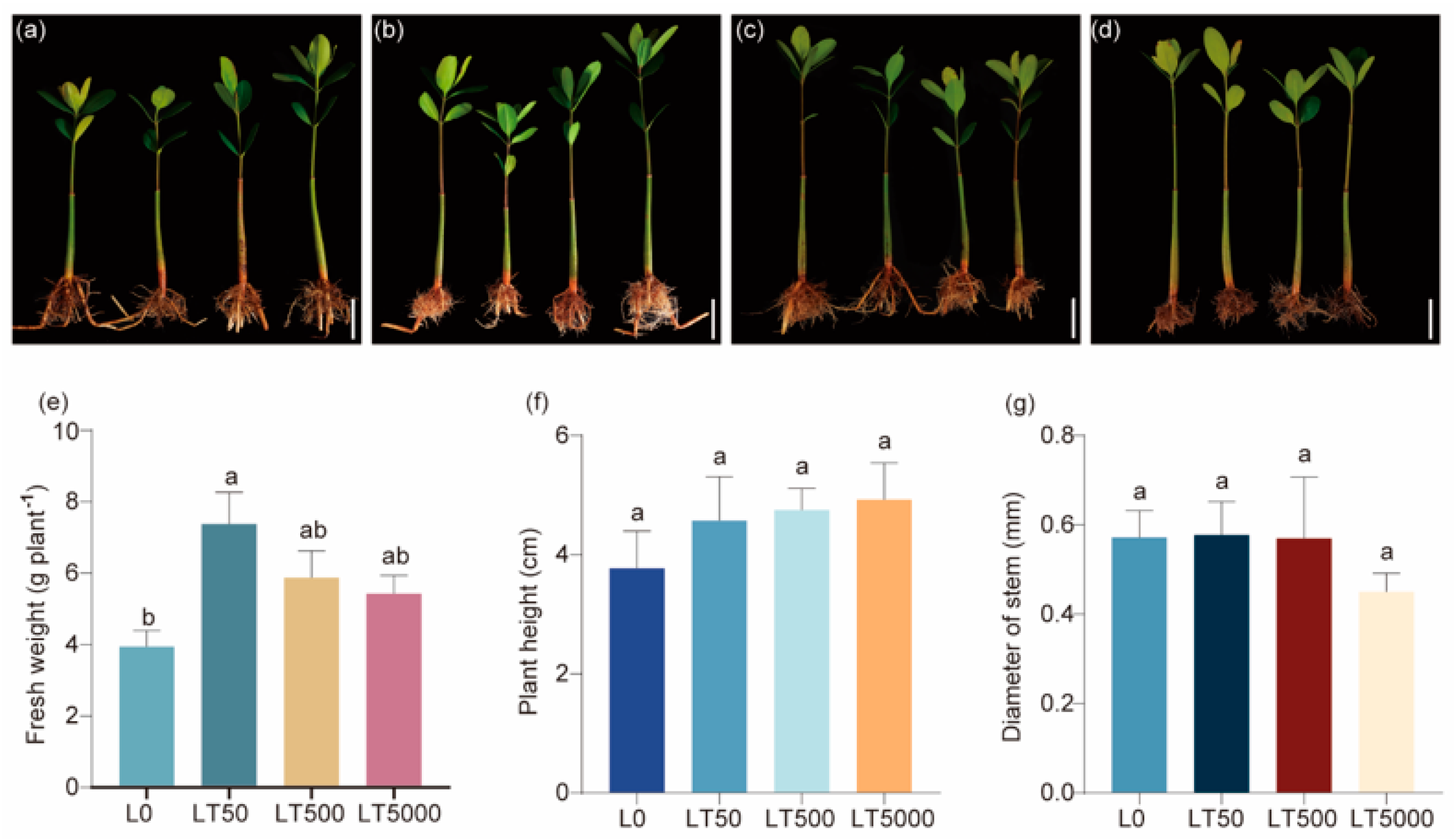 Toxics 12 00456 g001