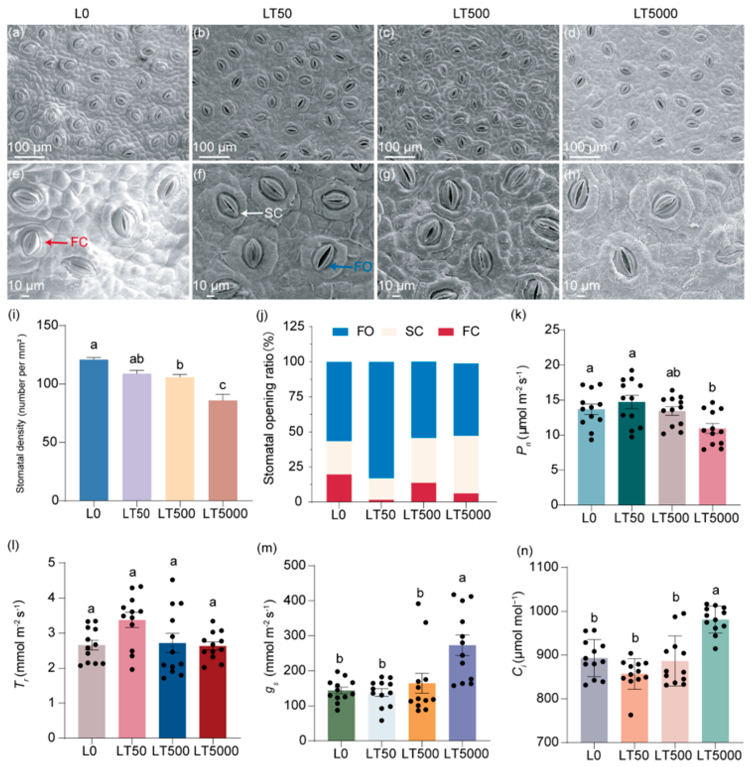 Toxics 12 00456 g002