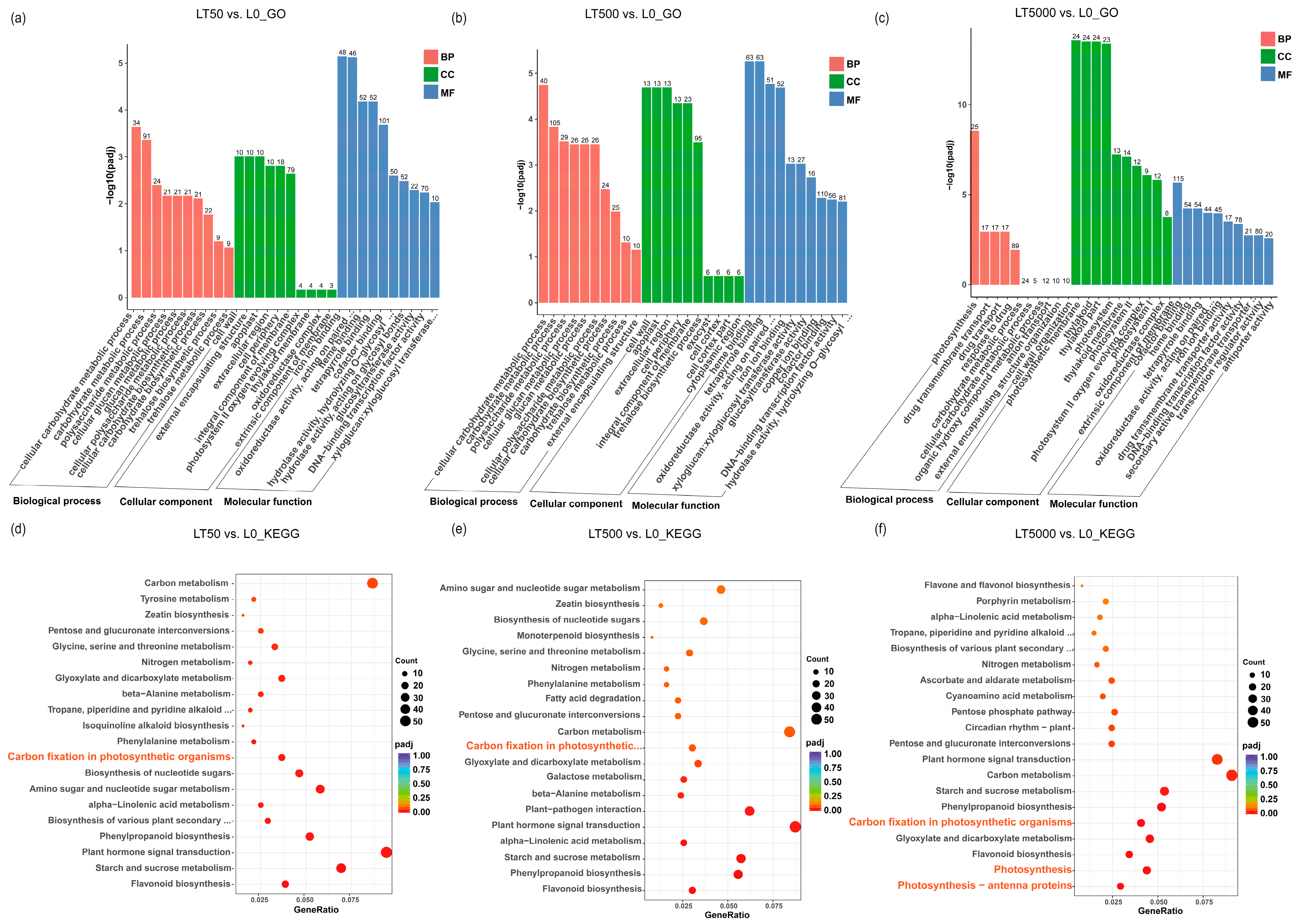 Toxics 12 00456 g006