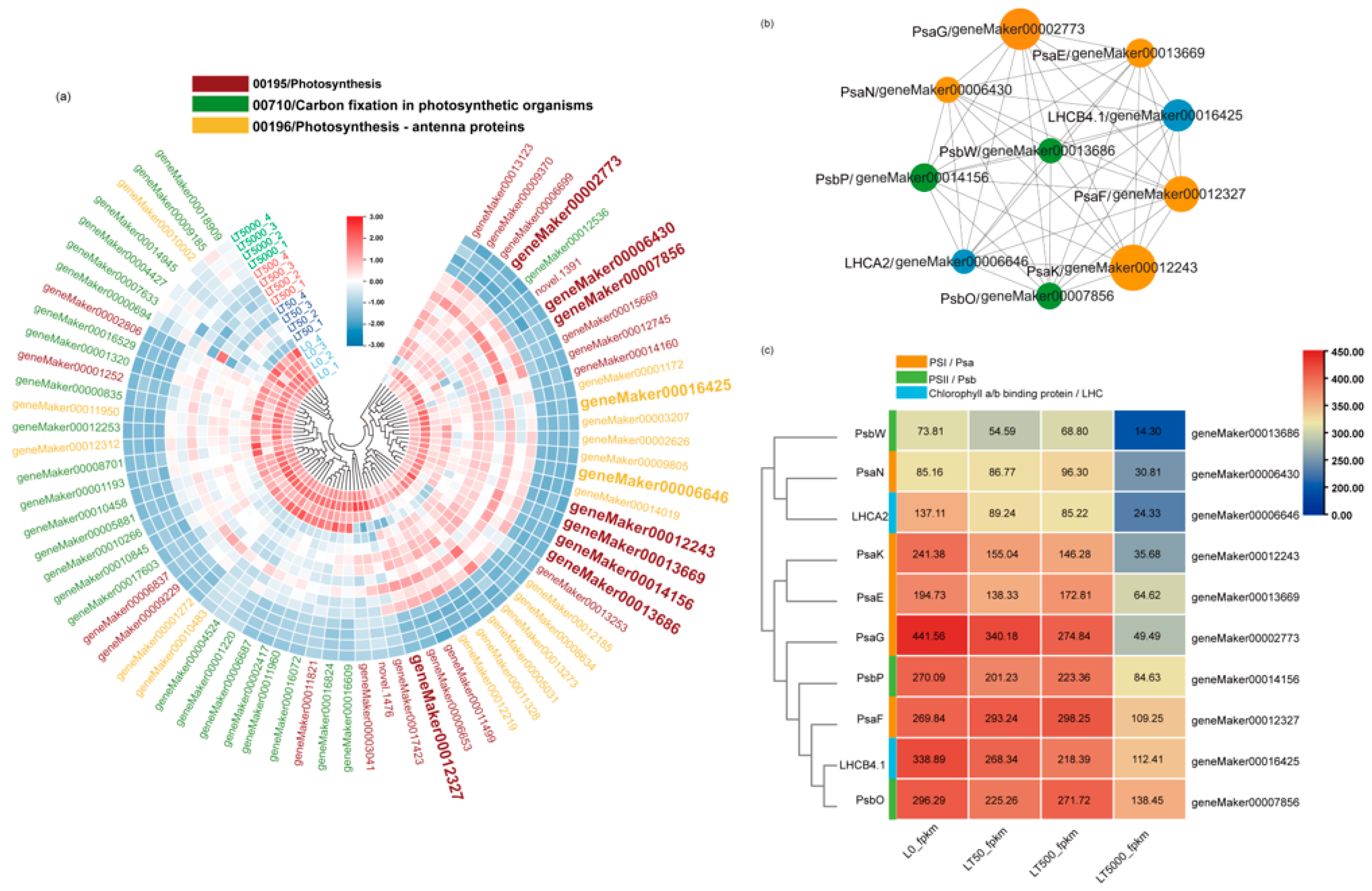Toxics 12 00456 g007