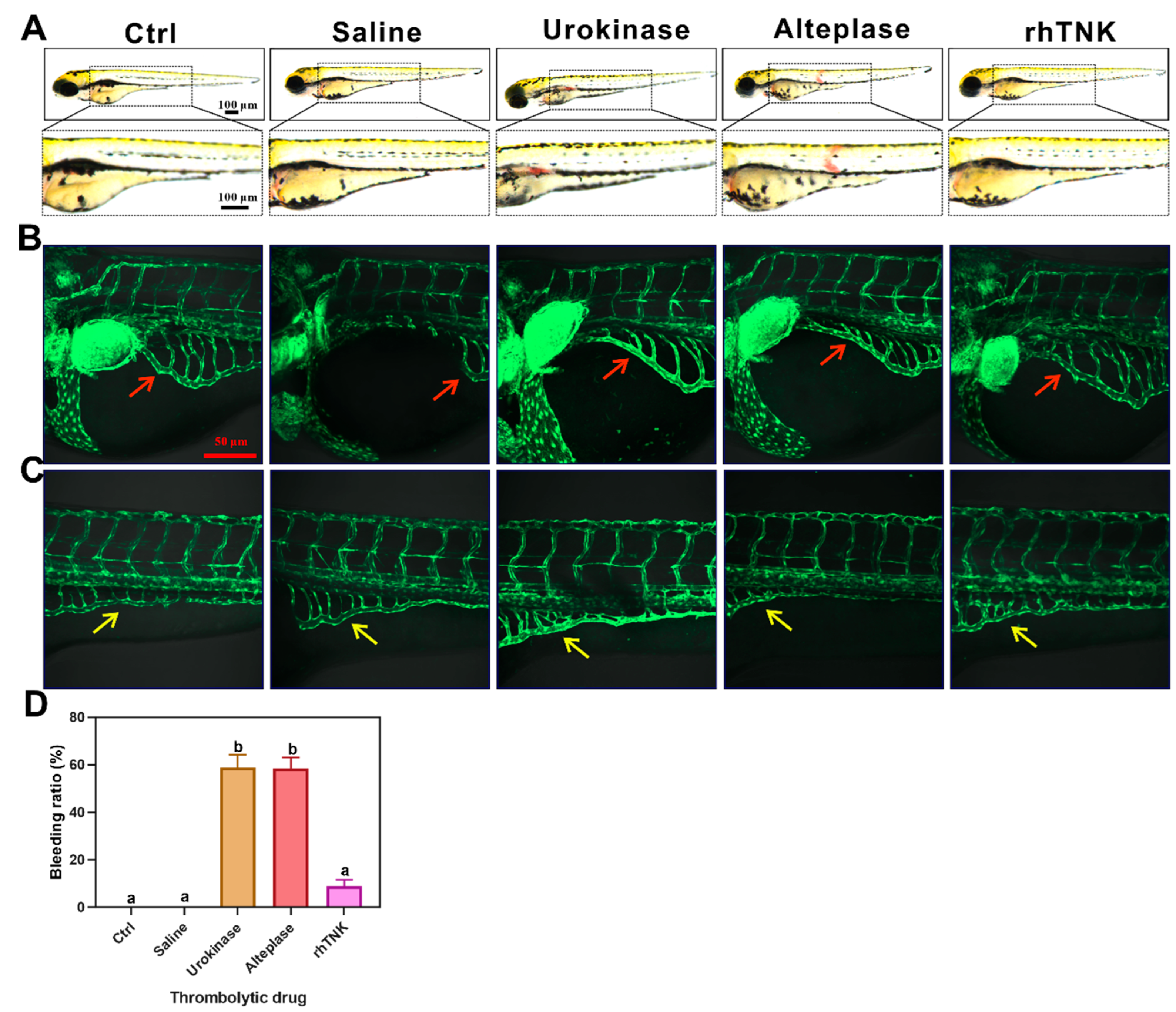 Toxics 12 00458 g004