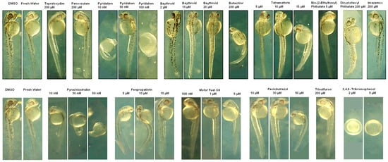 Toxics 12 00481 g009