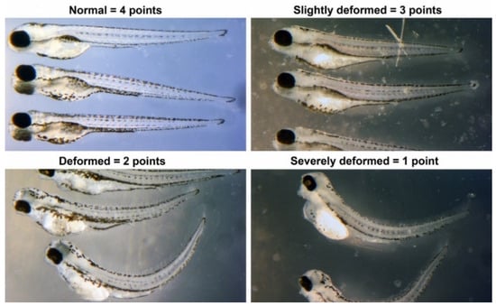 Toxics 12 00481 g010