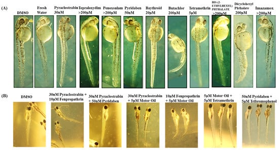 Toxics 12 00481 g011