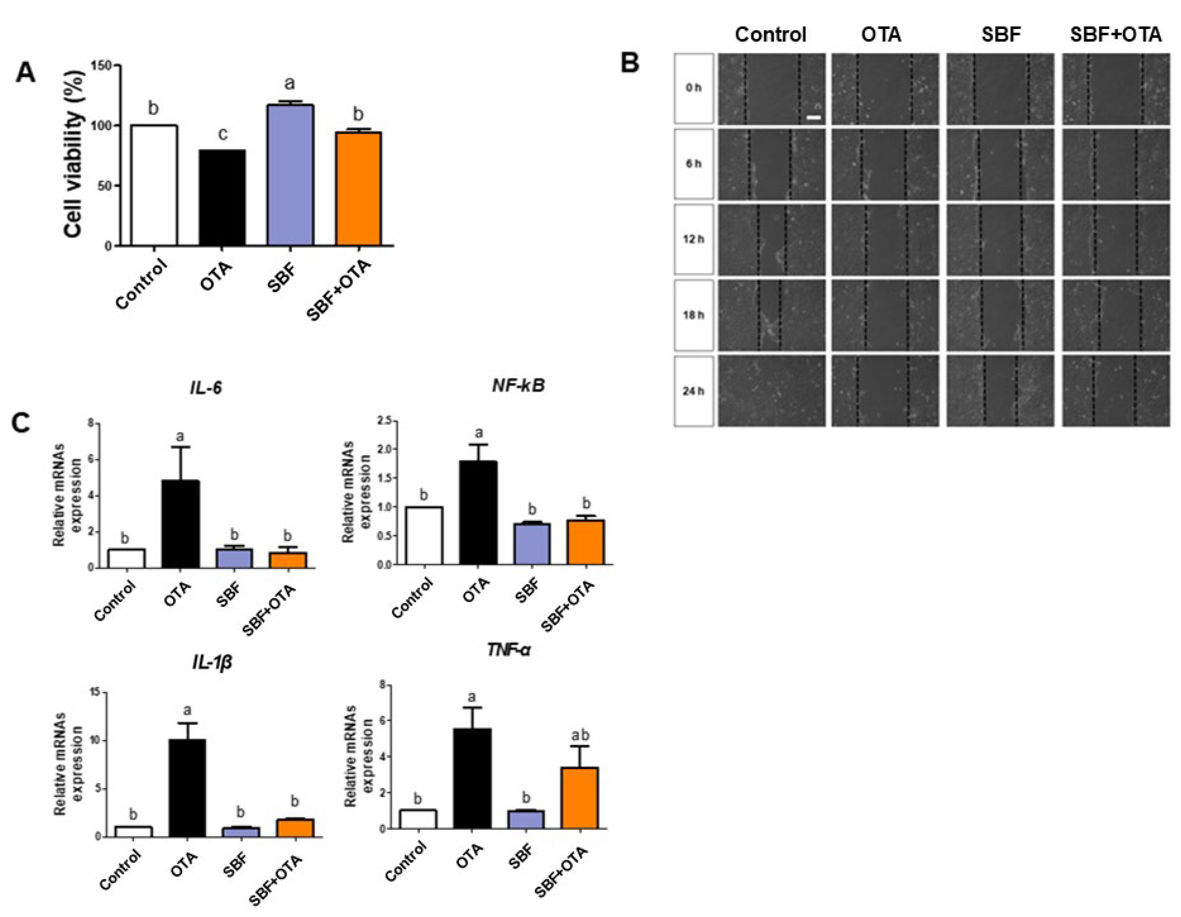 Toxics 12 00487 g007