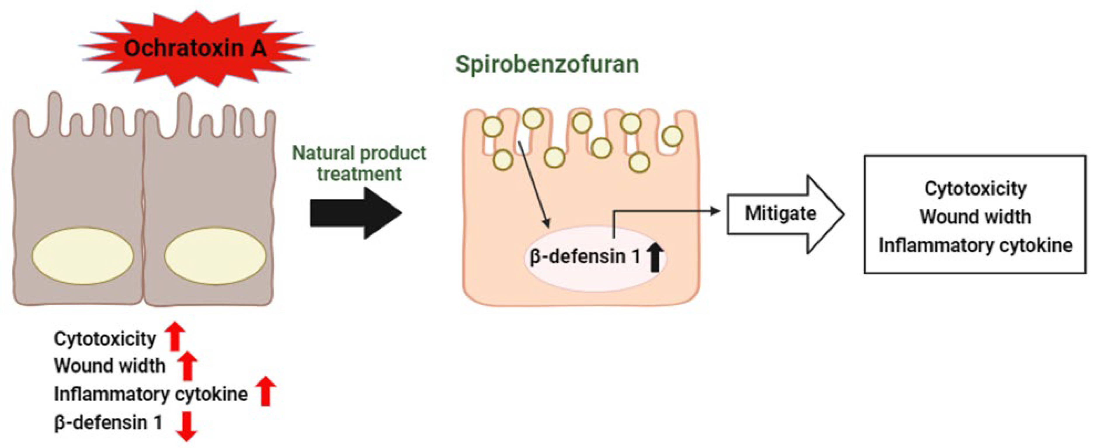 Toxics 12 00487 g008