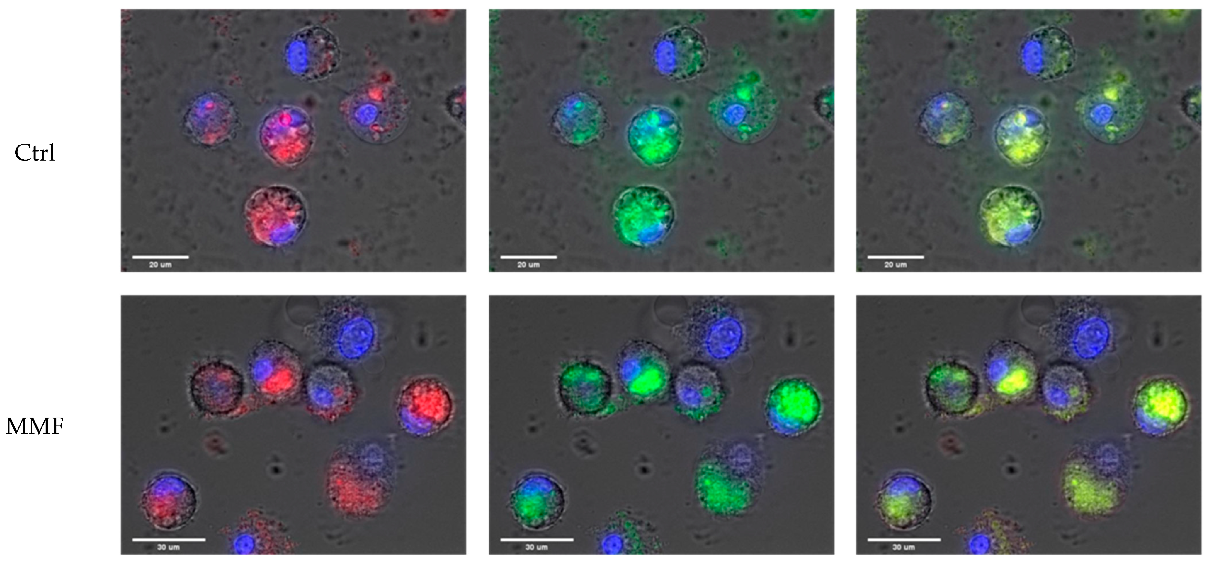 Toxics 12 00491 g001