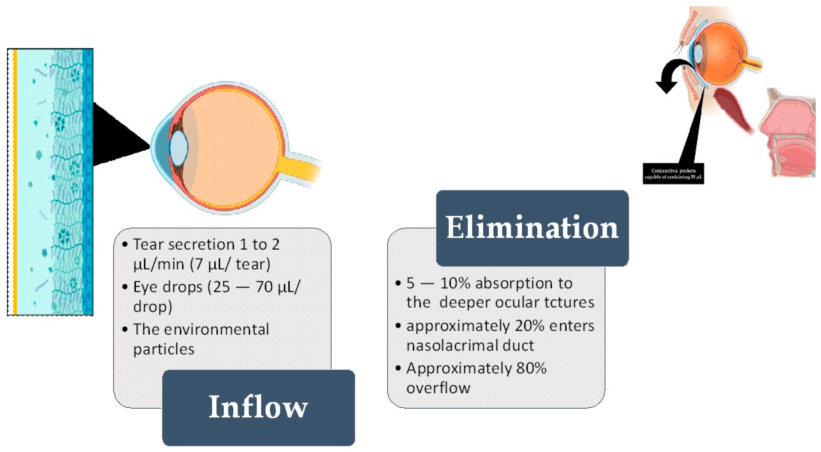 Toxics 12 00513 g001