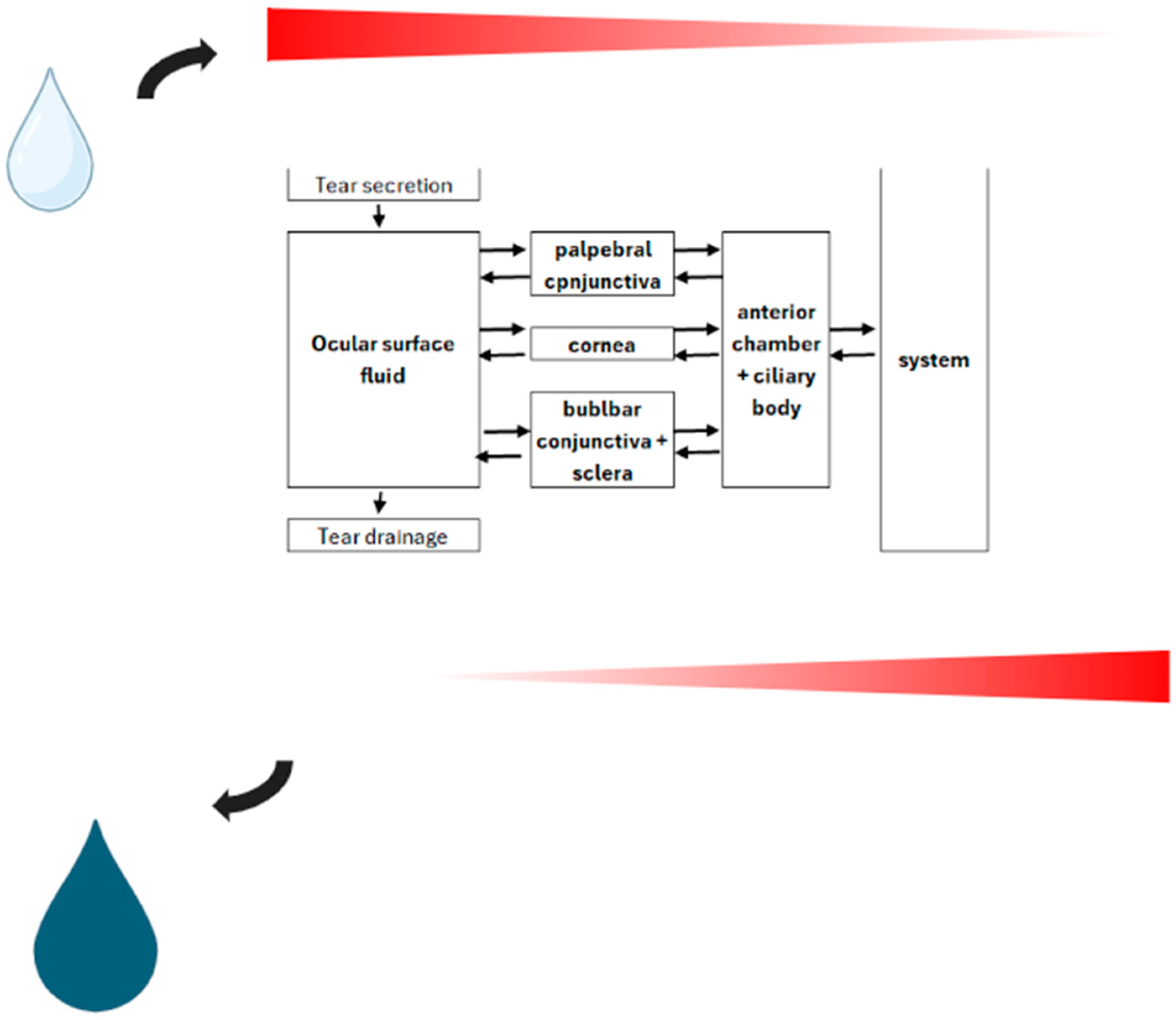 Toxics 12 00513 g002