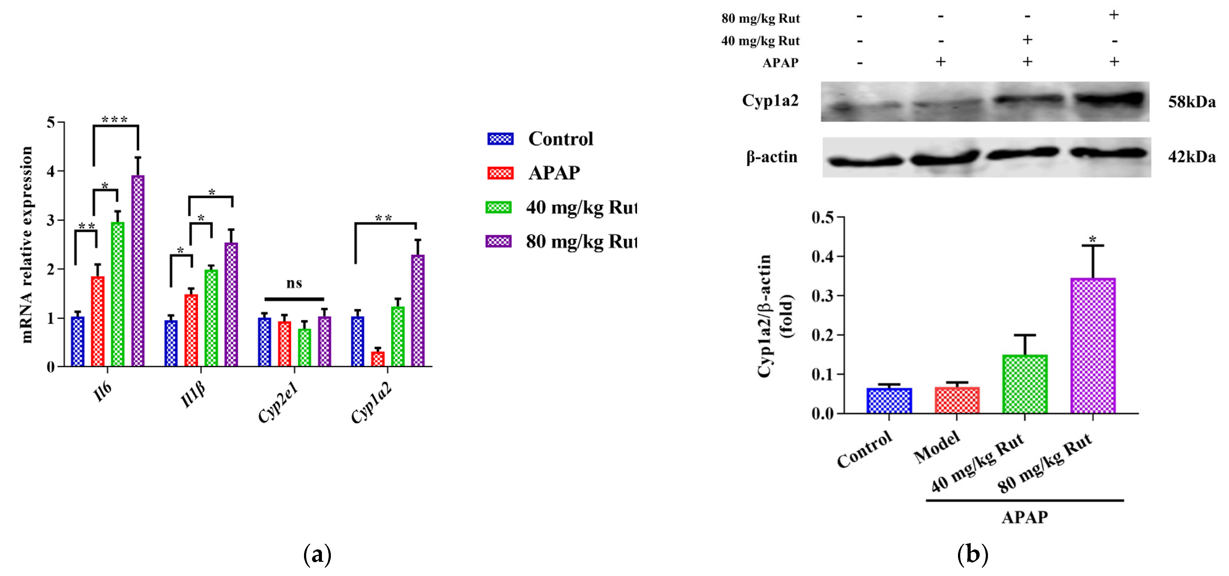 Toxics 12 00515 g002