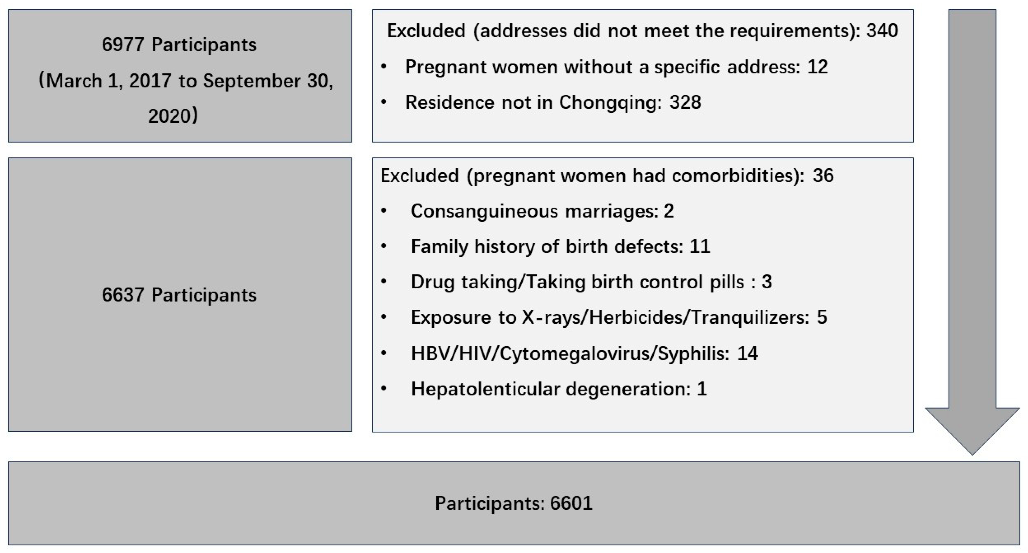 Toxics 12 00519 g001