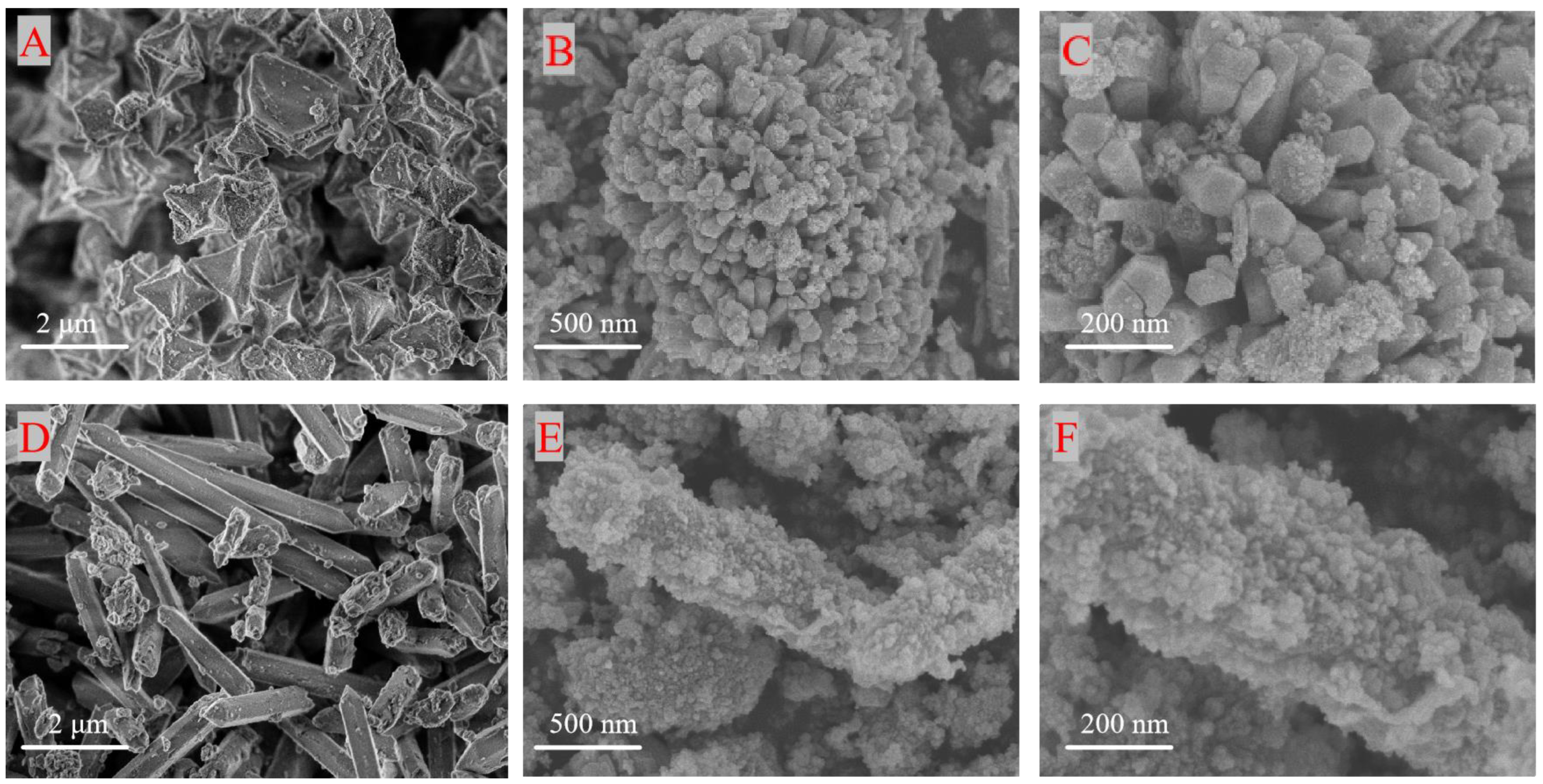 Toxics 12 00524 g003