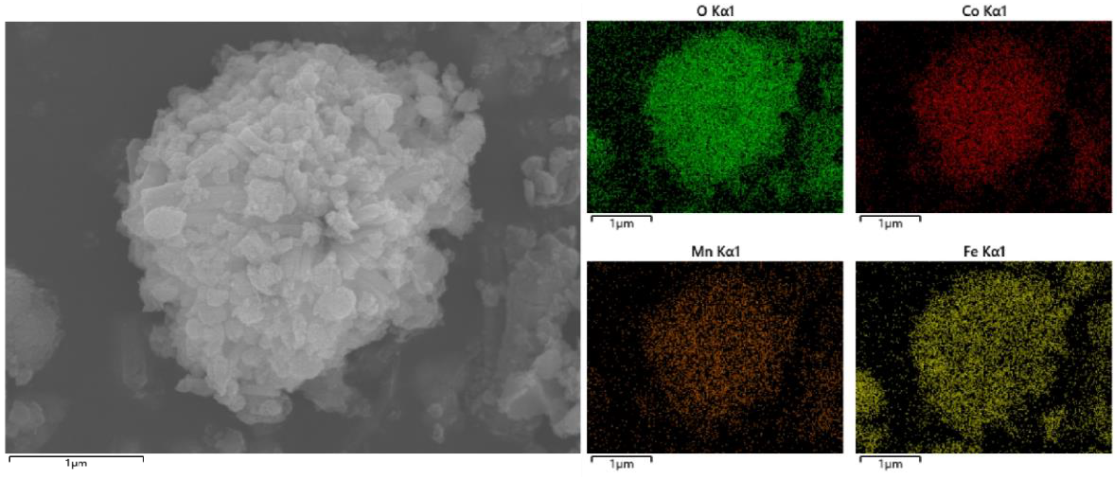 Toxics 12 00524 g004