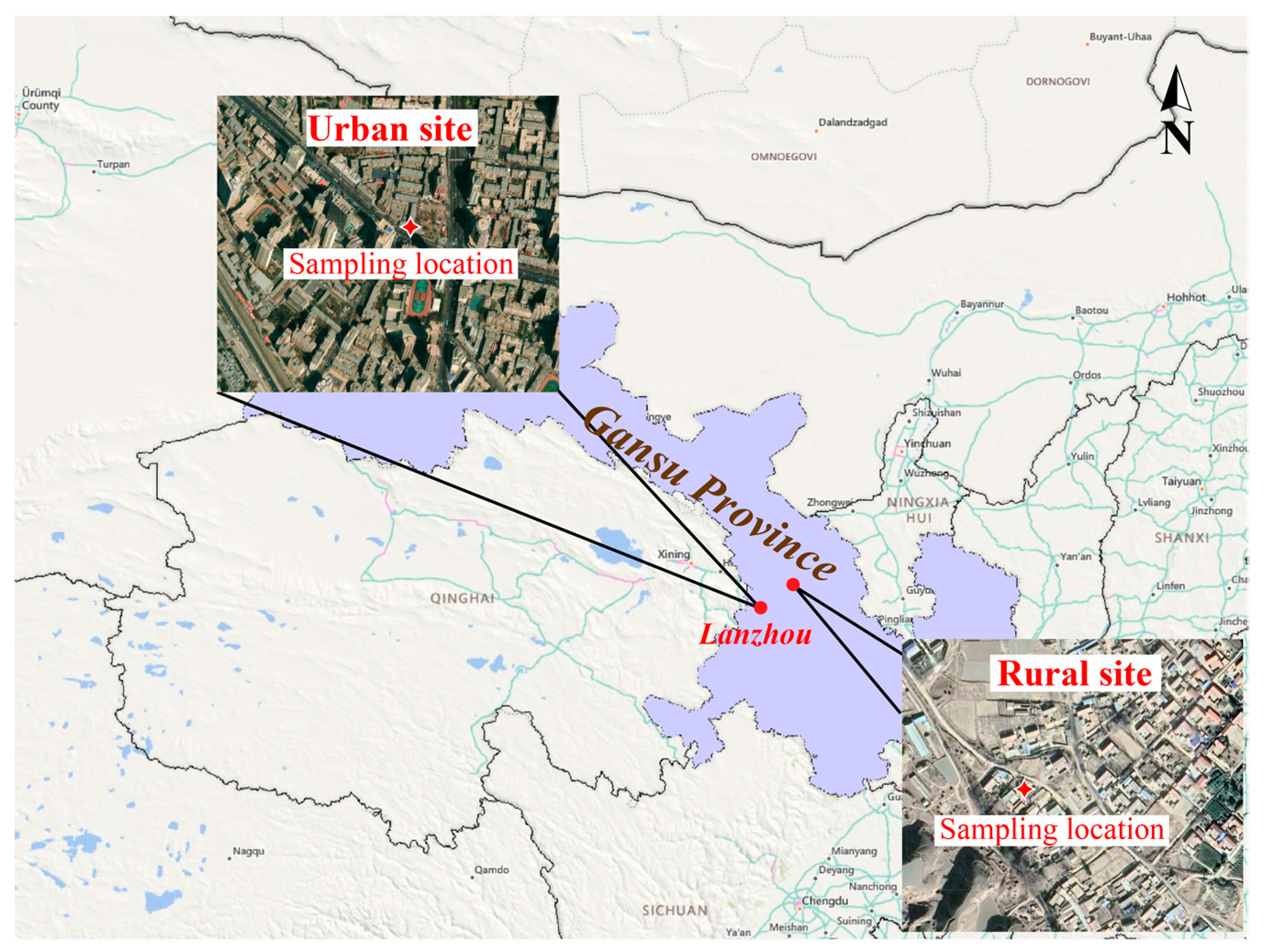 Toxics 12 00525 g001