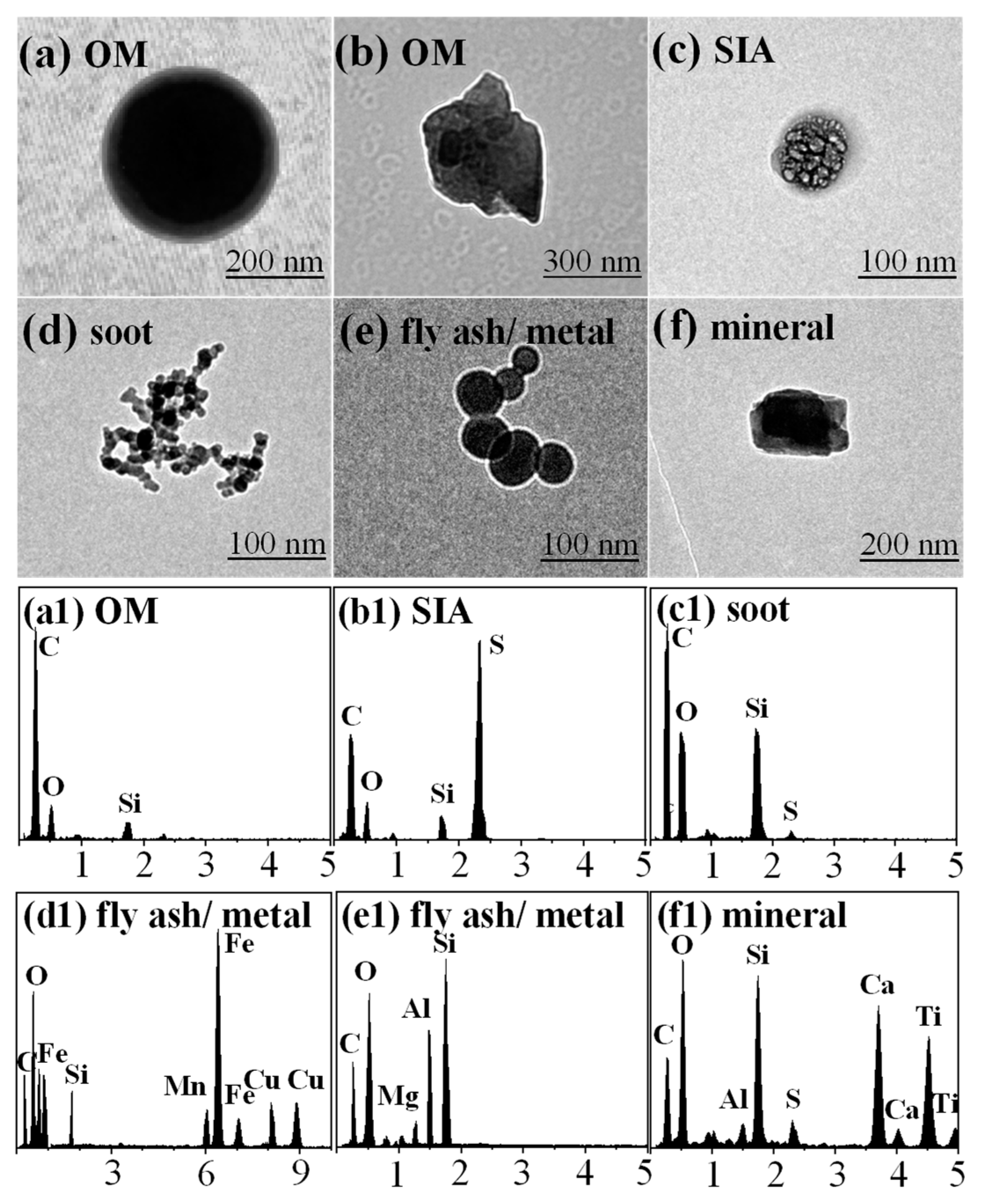 Toxics 12 00525 g003