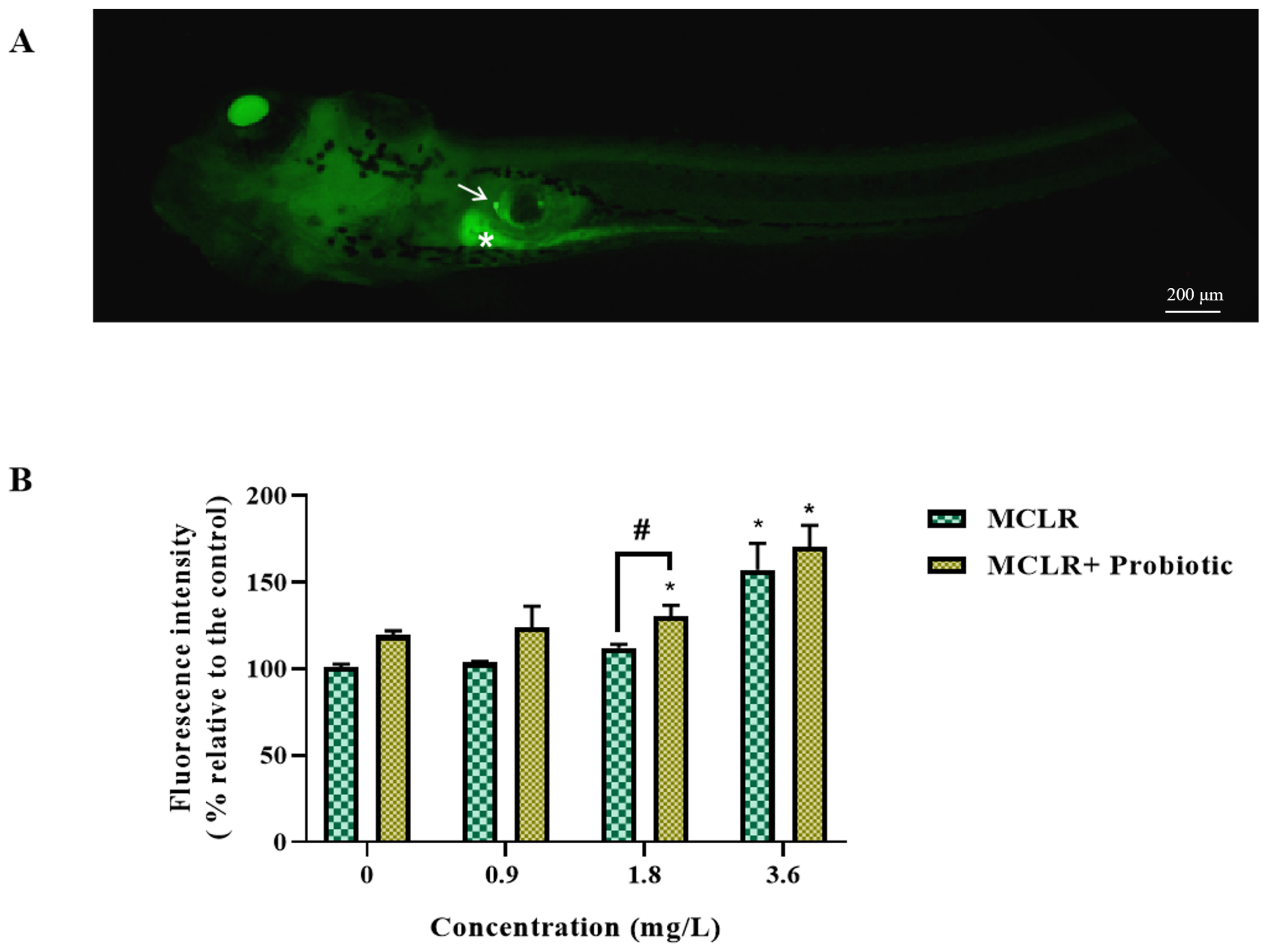 Toxics 12 00527 g005
