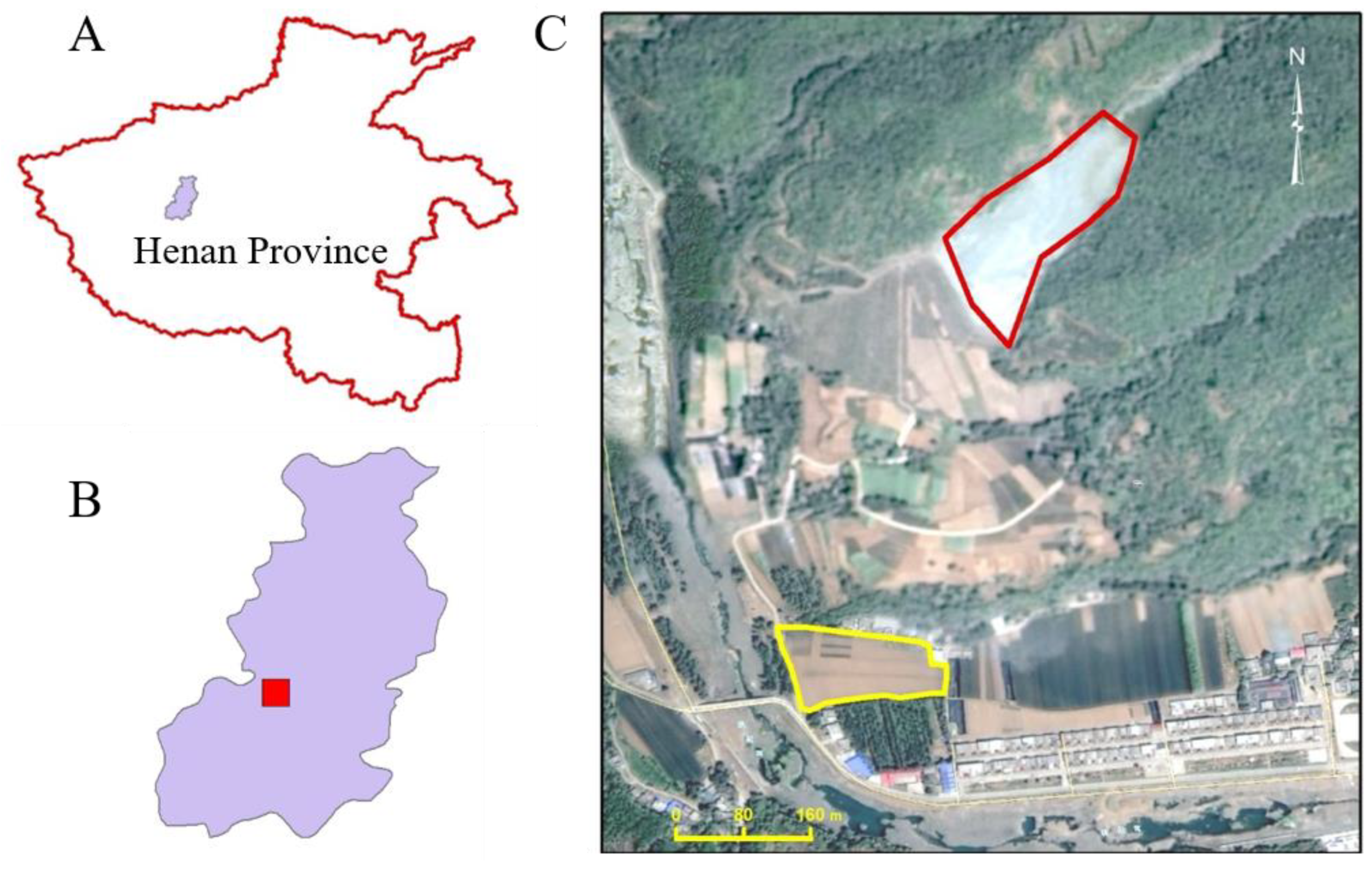 Toxics 12 00532 g001