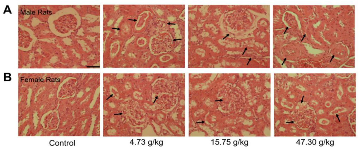 Toxics 12 00556 g006