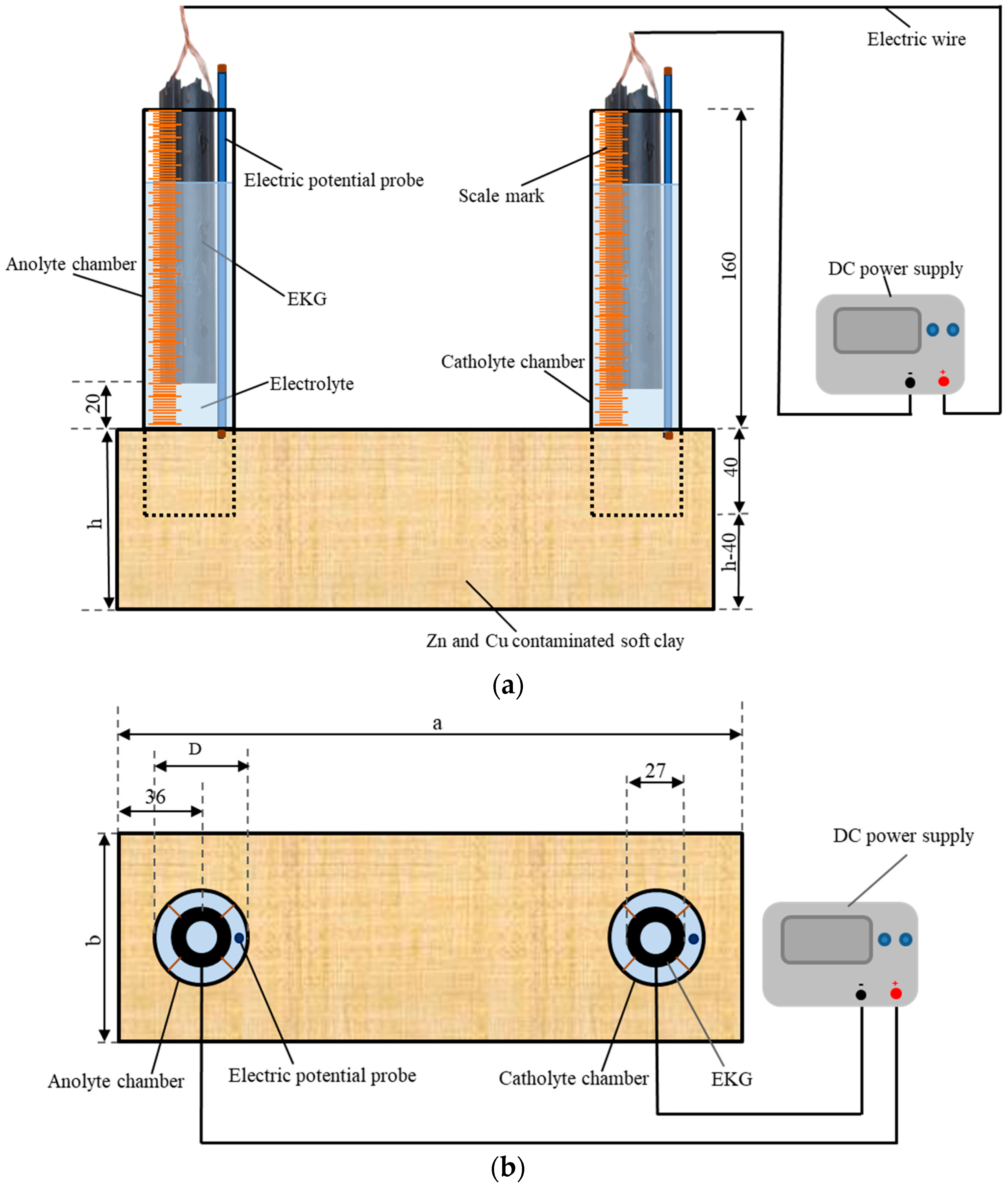 Toxics 12 00563 g001a