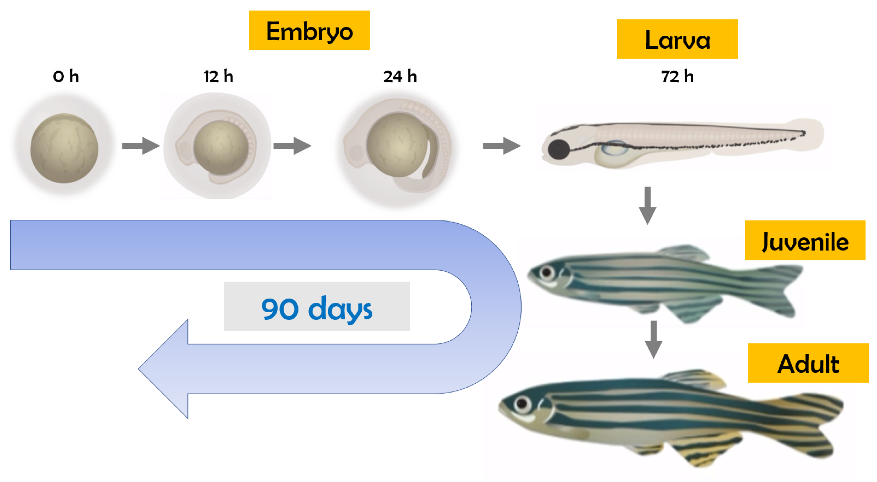 Toxics 12 00570 g001