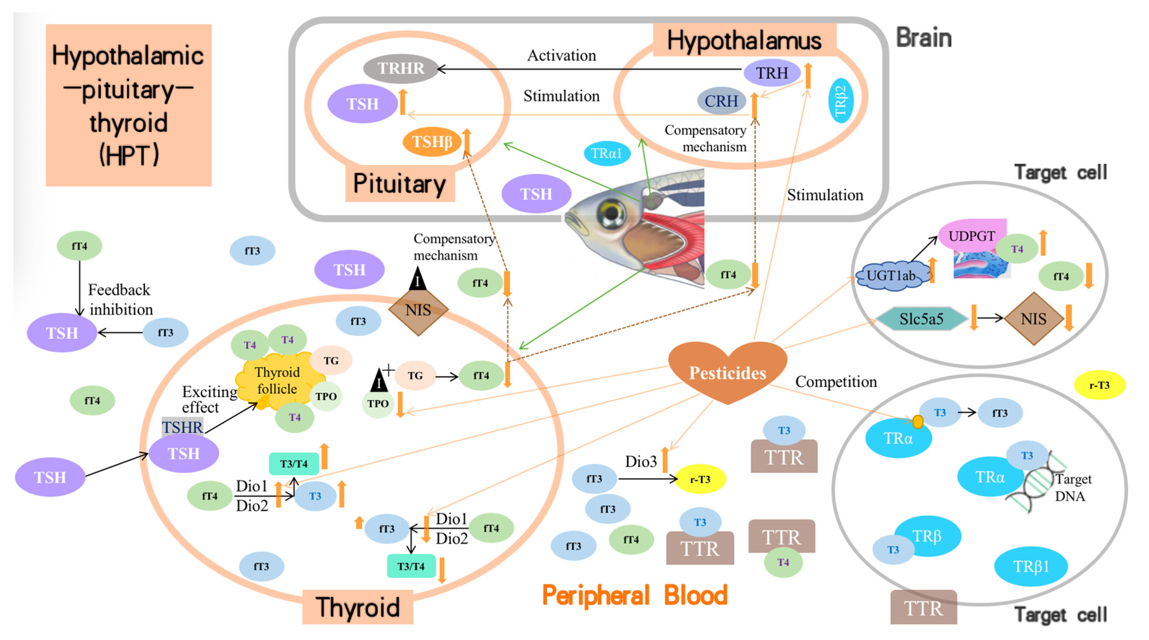 Toxics 12 00570 g002