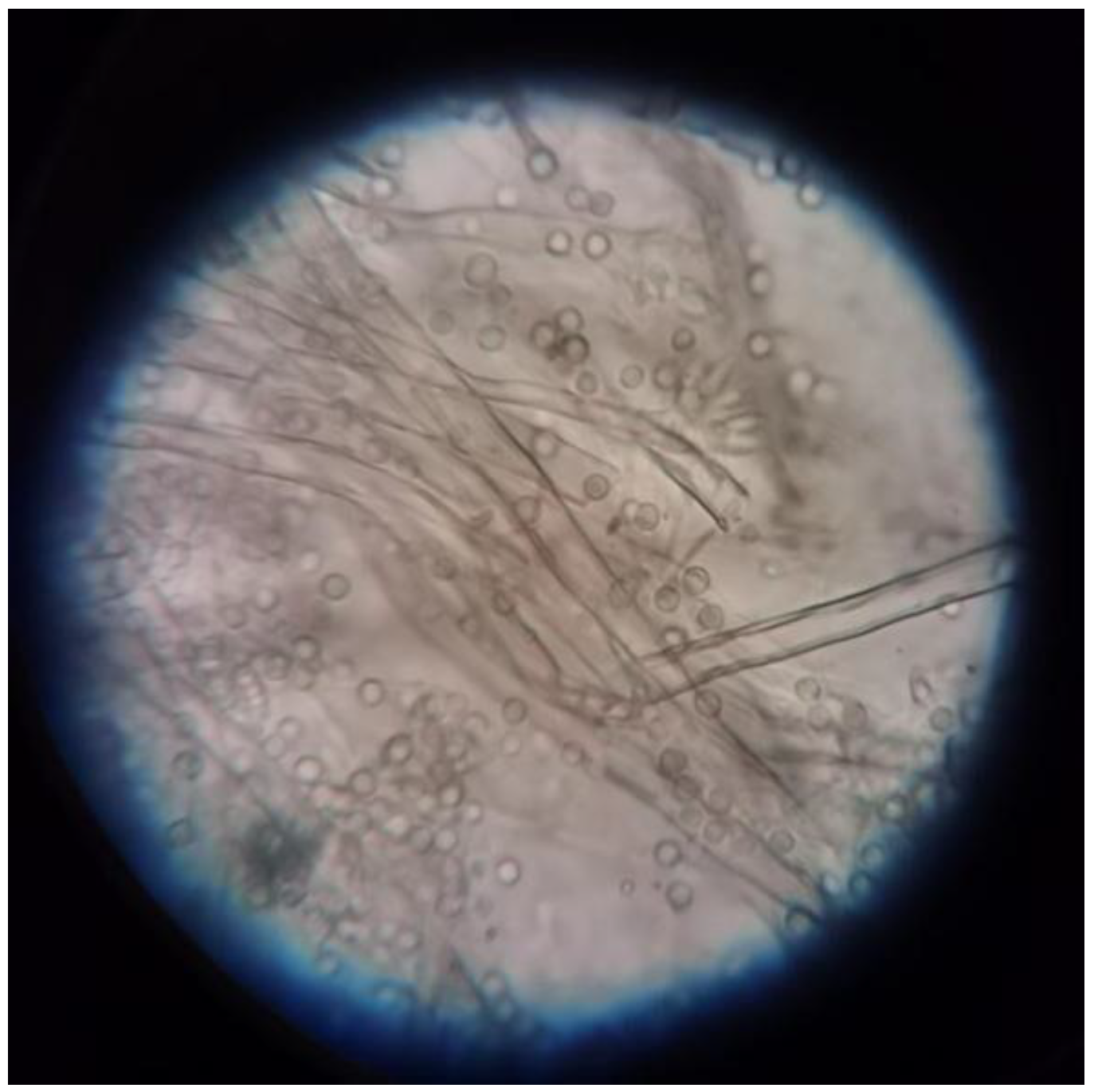 Toxics 12 00572 g001