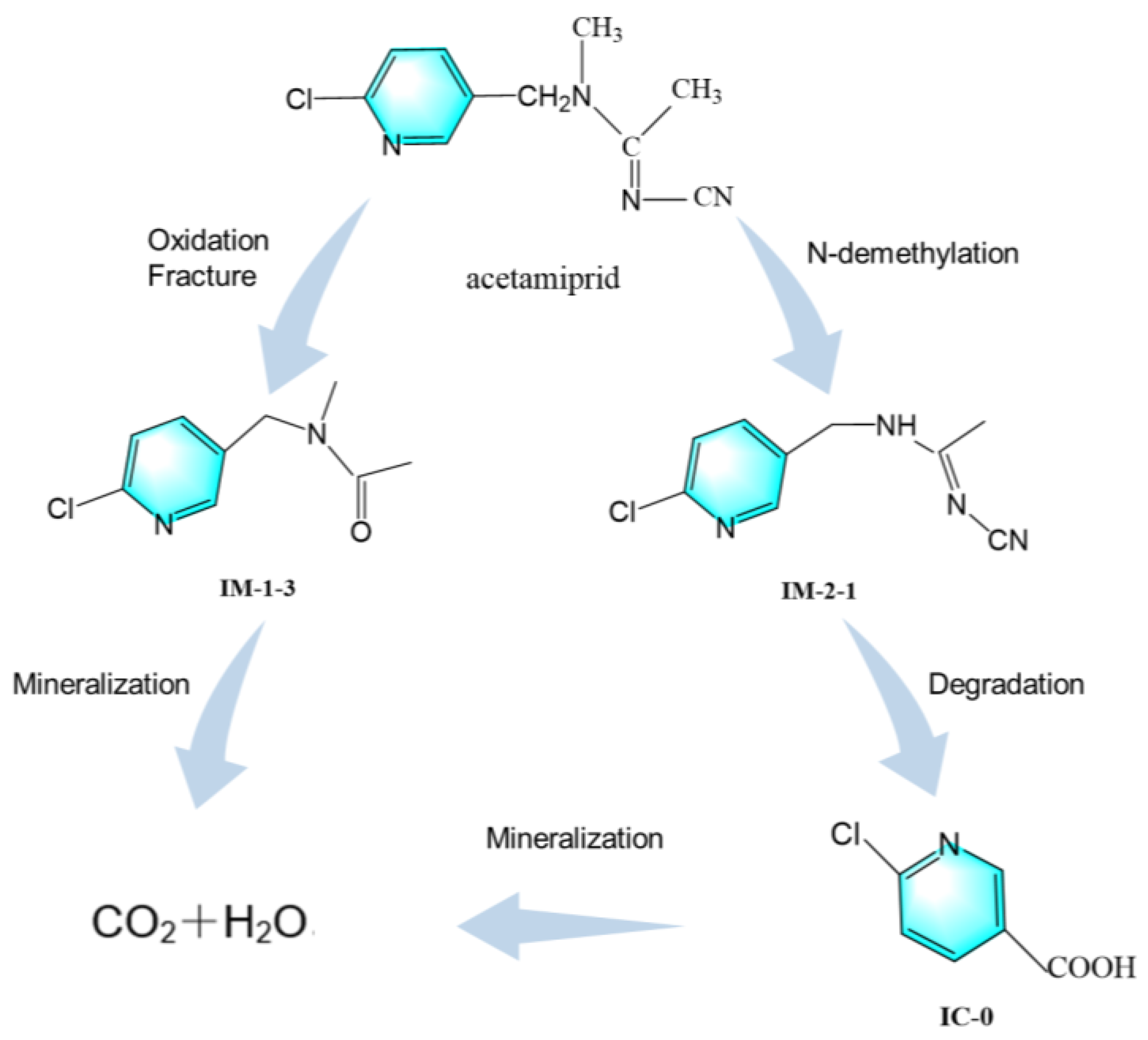 Toxics 12 00572 g005