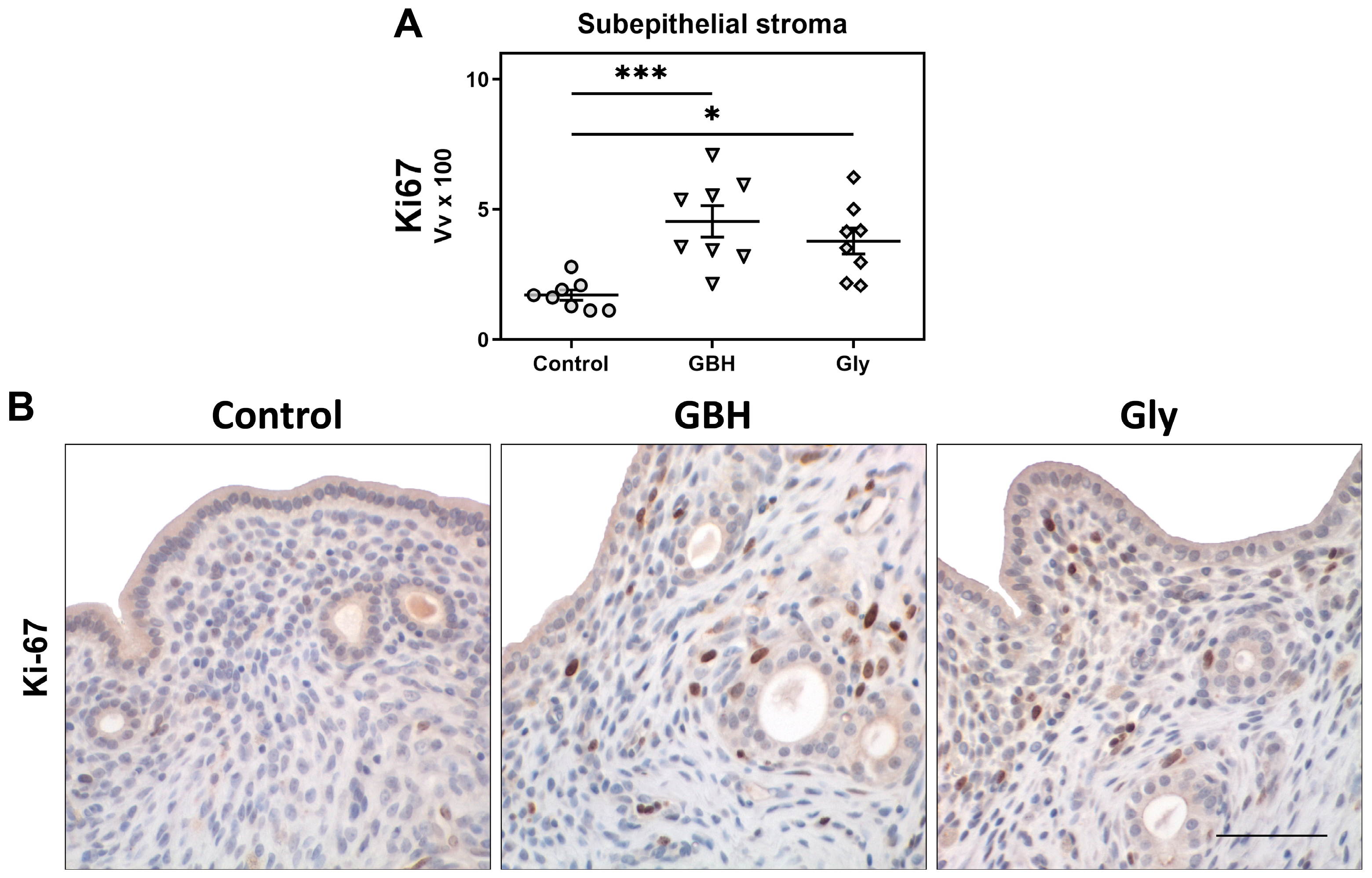 Toxics 12 00590 g002